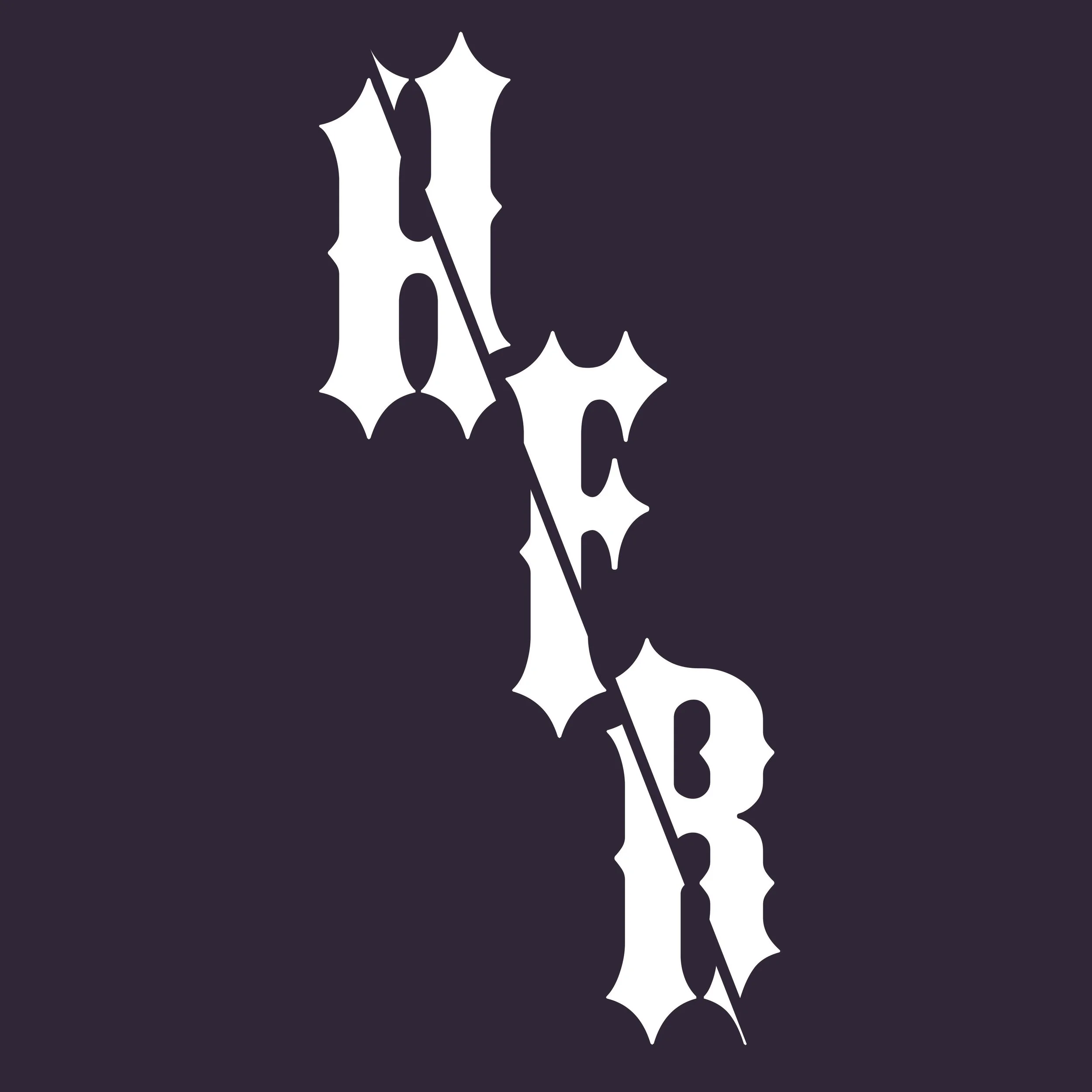 Weihnachtsdekoration mit weißen Tannenzweigen und Stacheln auf dunkelviolettem Hintergrund.