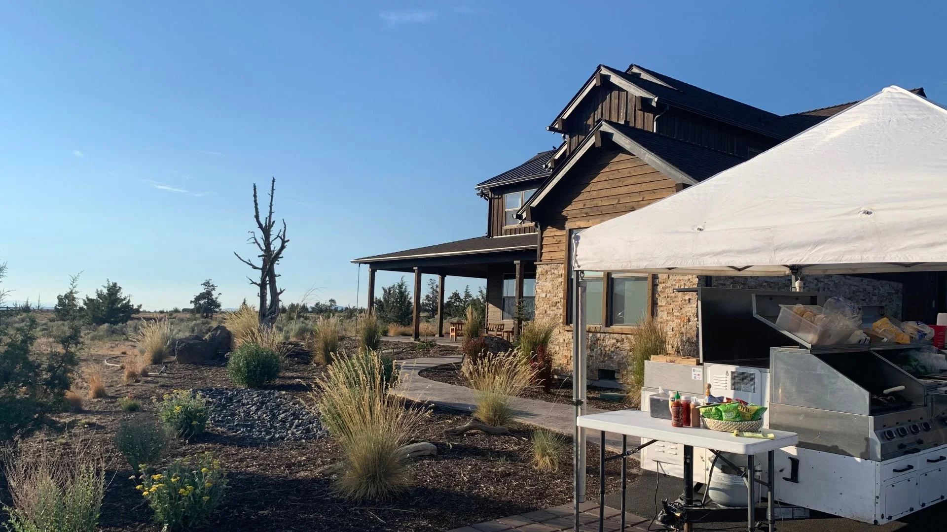 A desert house with a porch, tall dry plants, and a barbecue grill under a white canopy
