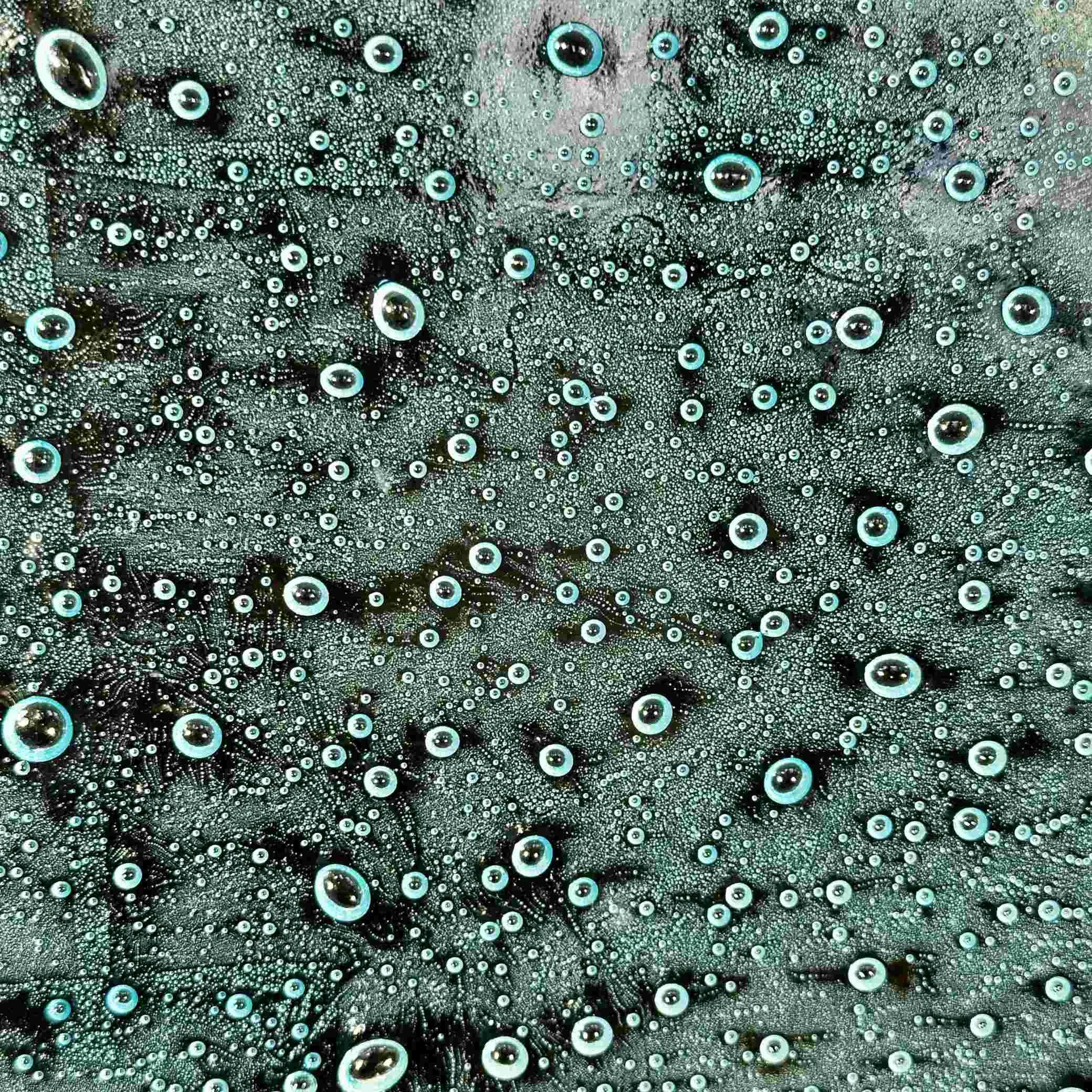 Bubbles are beautiful