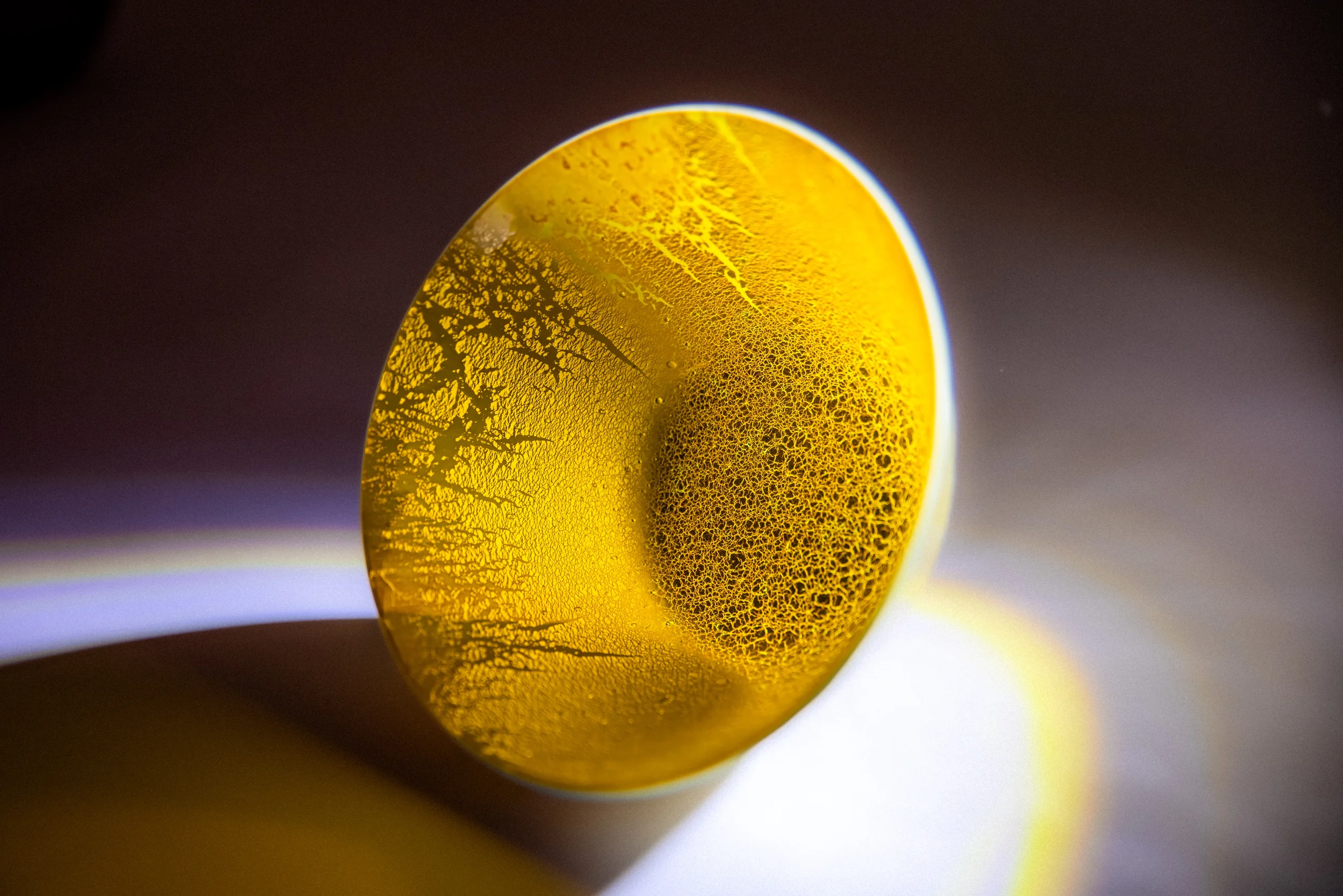 Manzanita 6.5” by 3” deep Glass Bowl