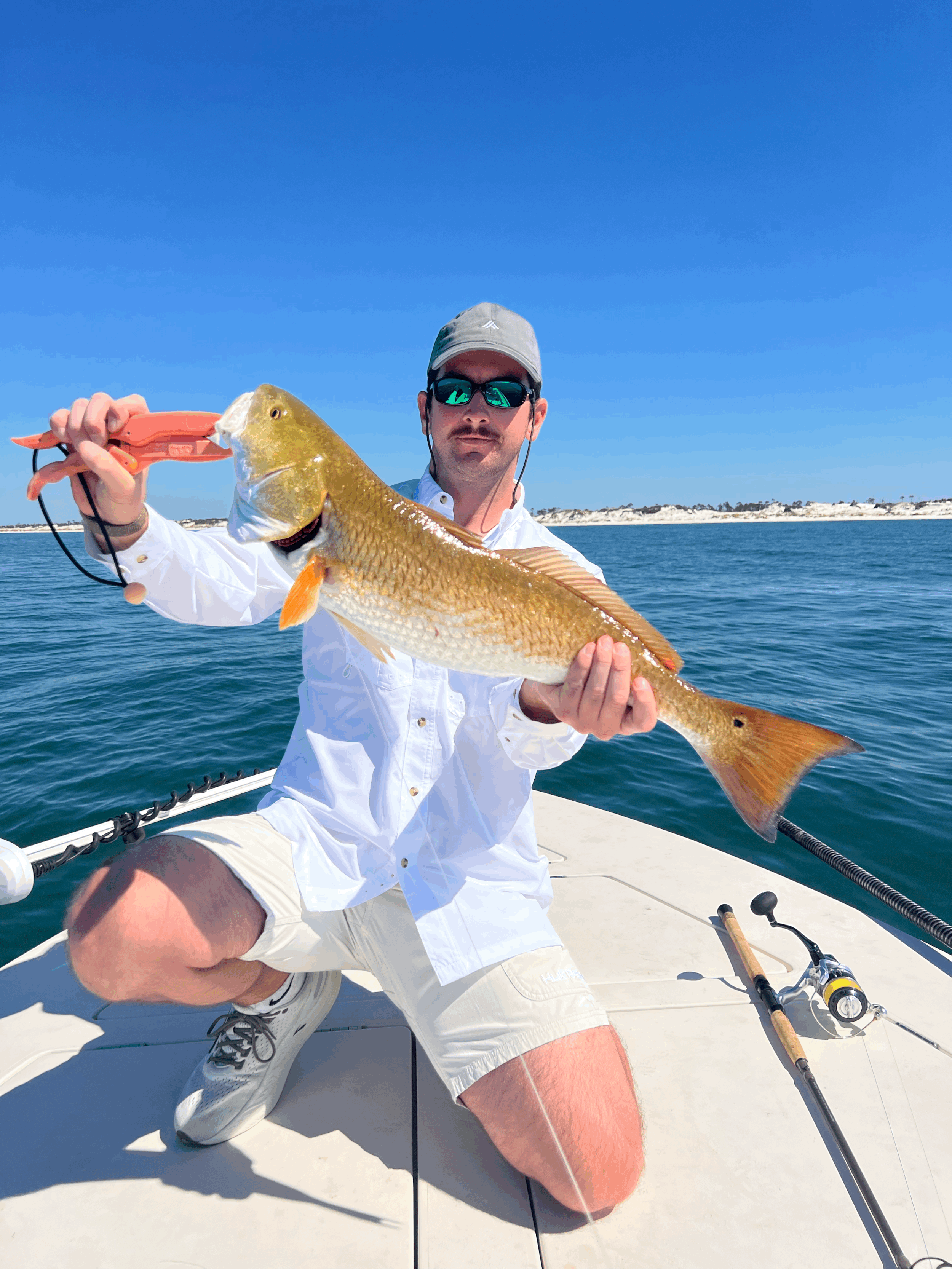 Half Day Morning Trip