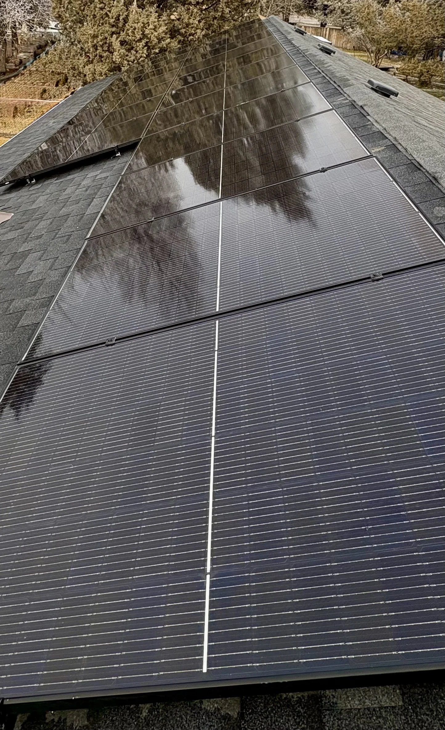 Solar panels installed on a roof with a background of trees and sky reflected in the panels.