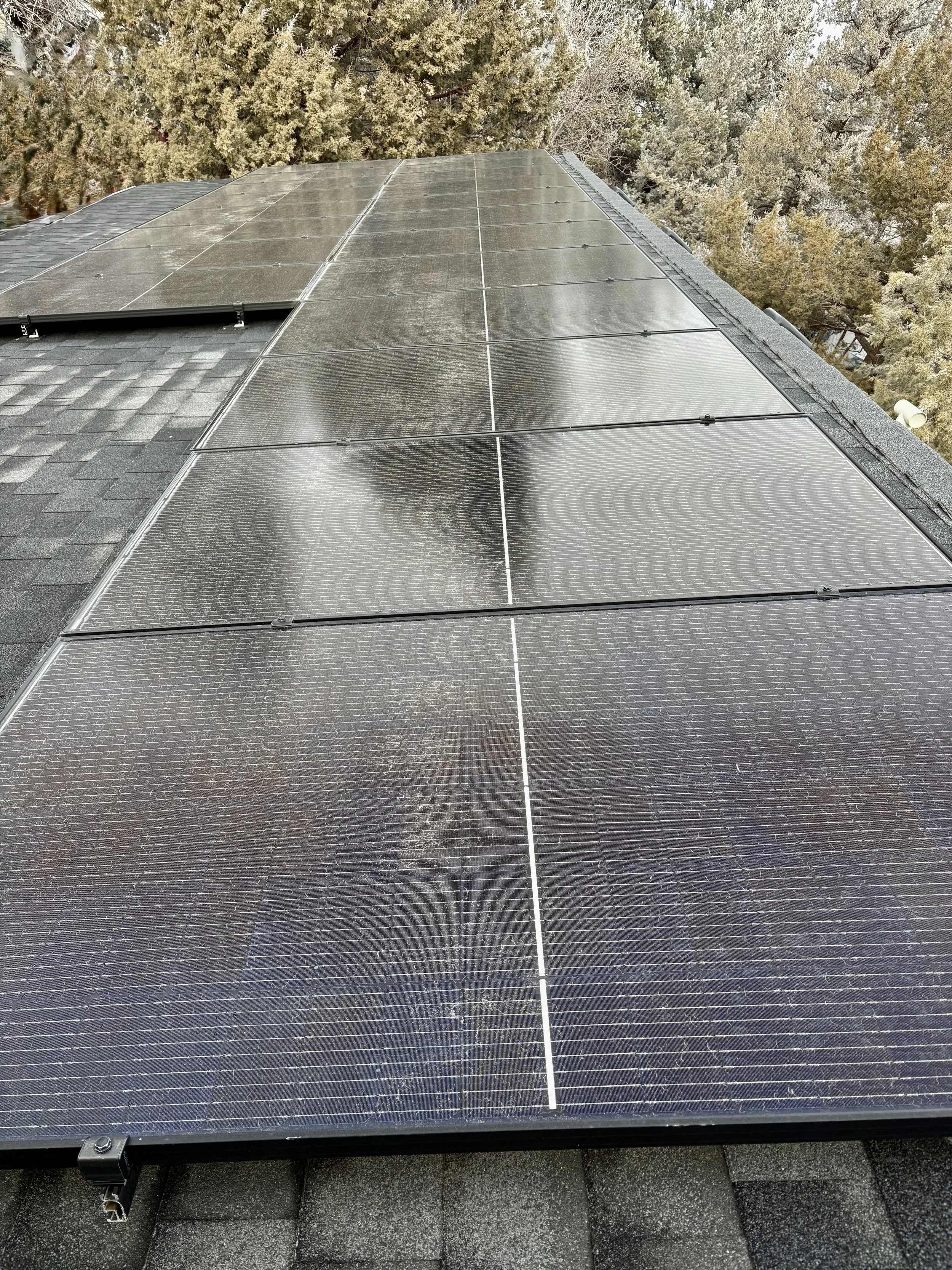 Solar panels installed on a rooftop with trees in the background.