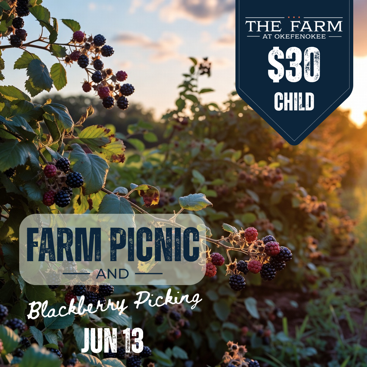 Farm Picnic & Blackberry Picking June 13, 2026 CHILD (15 and Under)