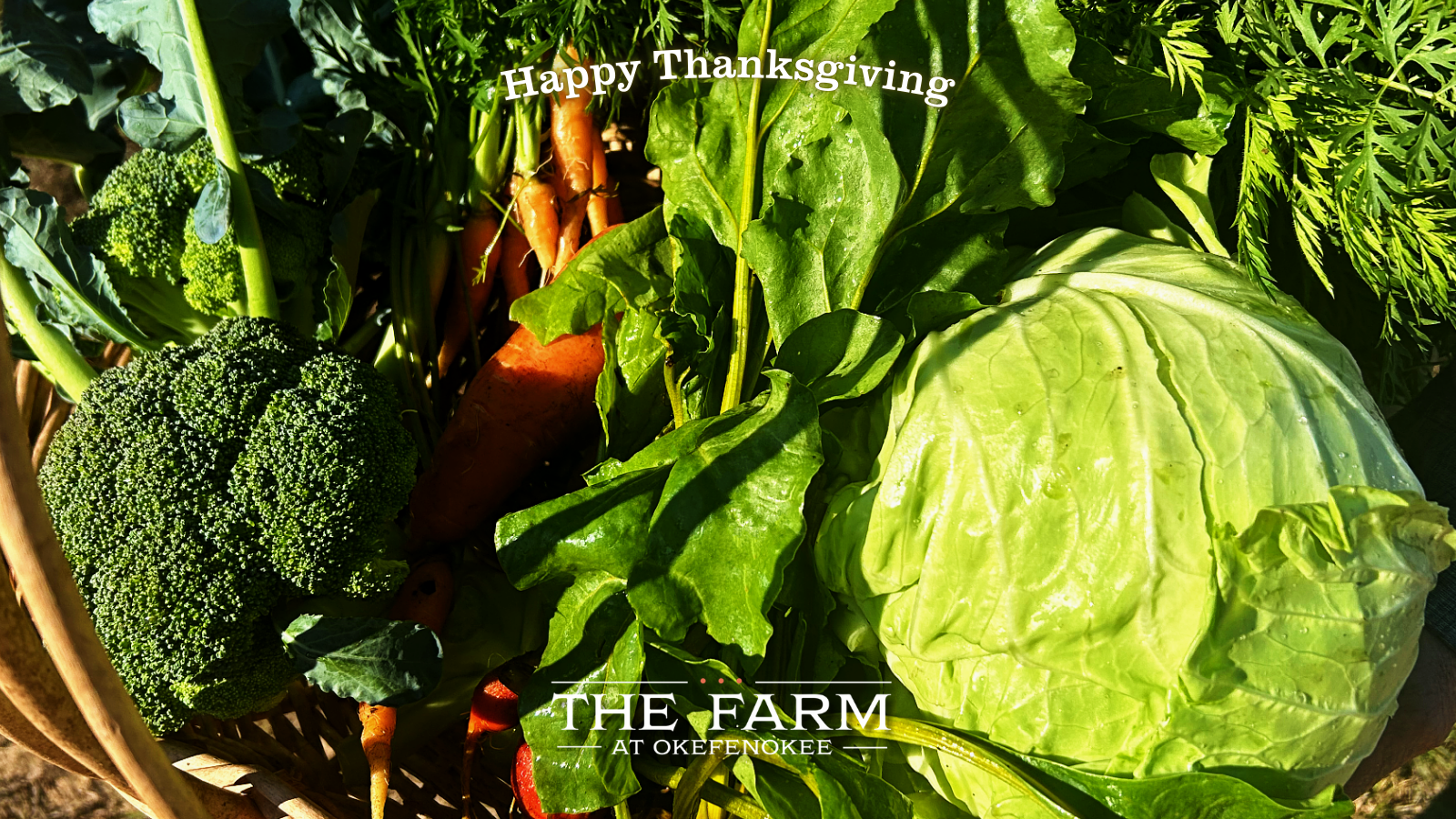 A Thanksgiving Message from the Founders of The Farm at Okefenokee