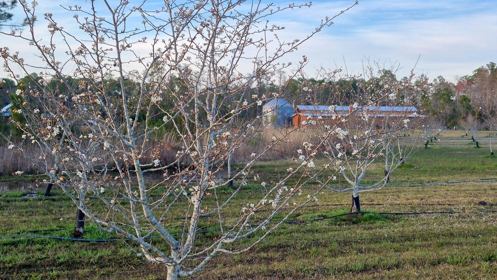 A Visit That Changed Everything