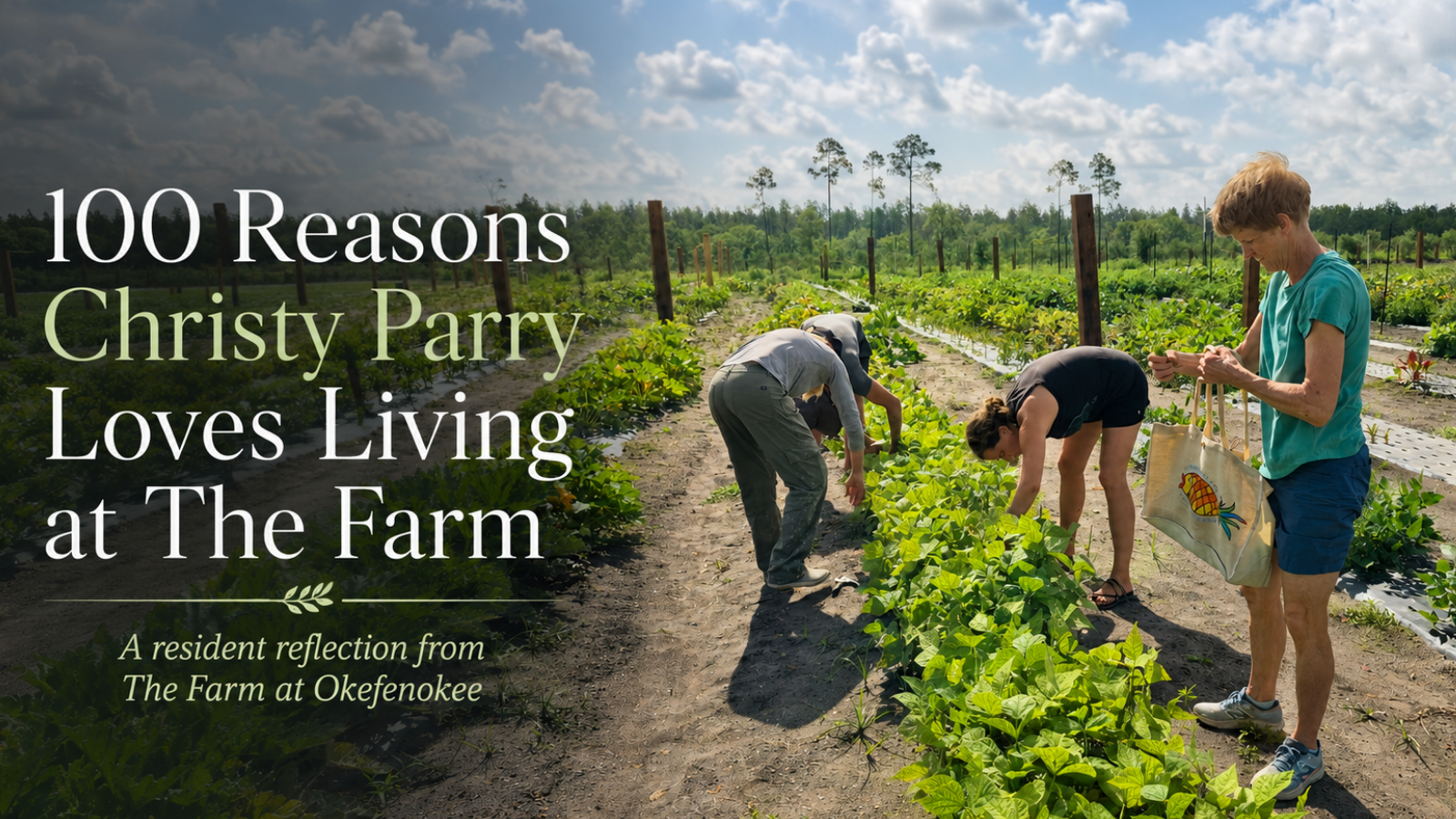 100 Reasons to Live at The Farm