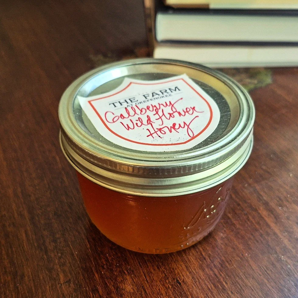 Honey 16oz