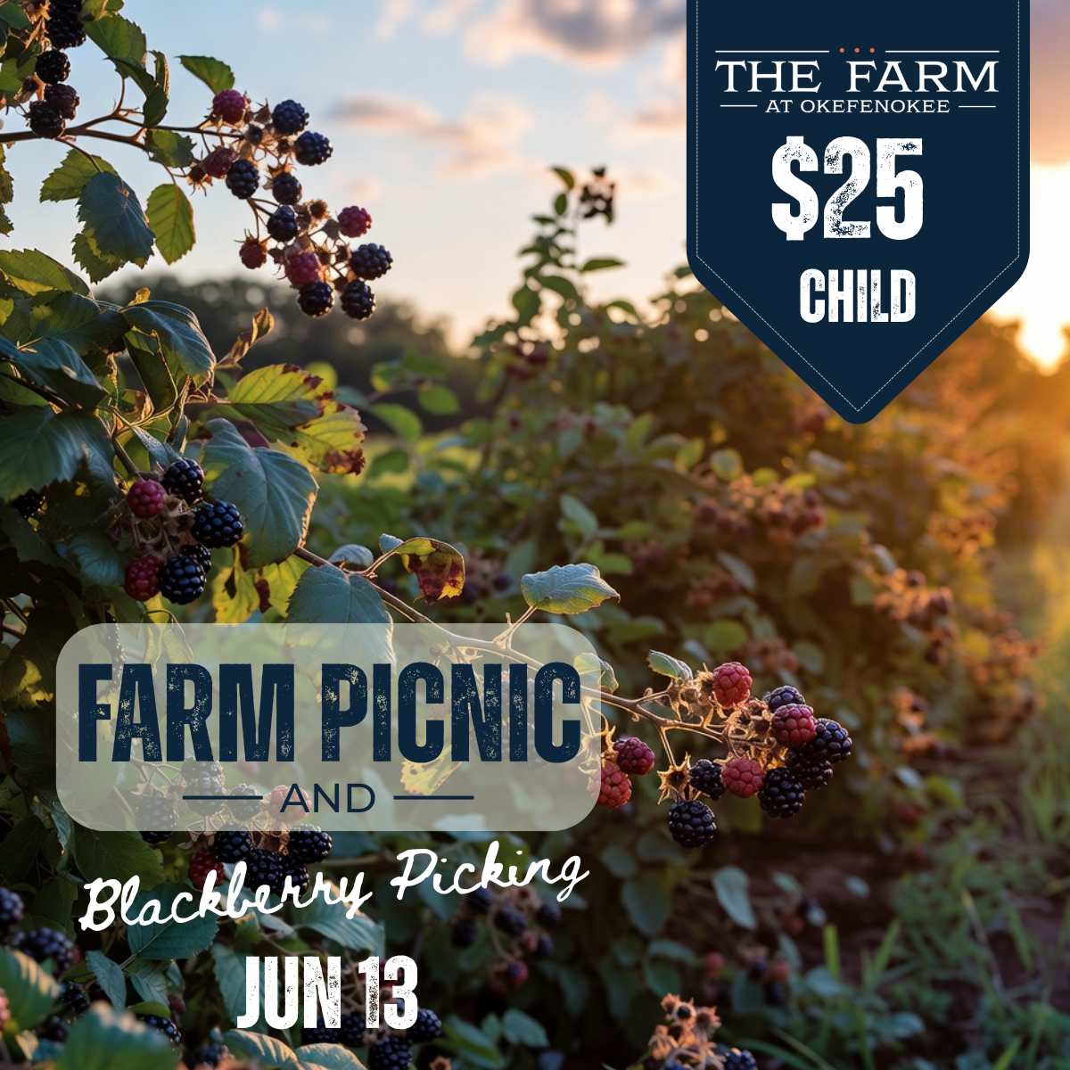 Farm Picnic & Blackberry Picking June 13, 2026 CHILD (15 and Under)