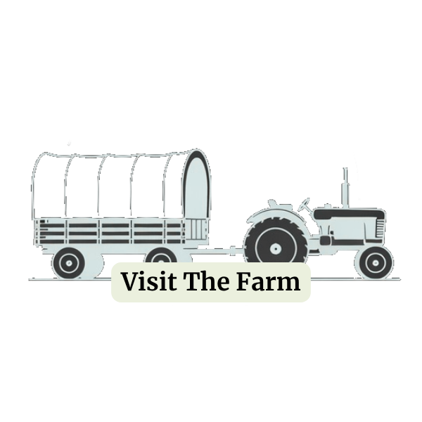 Visit Wagon