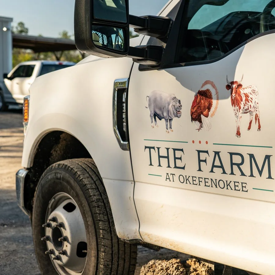A white truck with a logo of a farm on the door, featuring illustrations of a horse, a turkey, and a cow, and the text "The Farm at Okefenokee."
