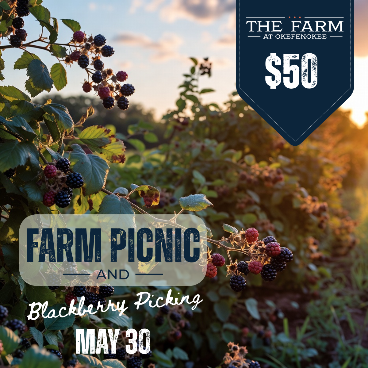 Farm Picnic & Blackberry Picking MAY 30, 2026
