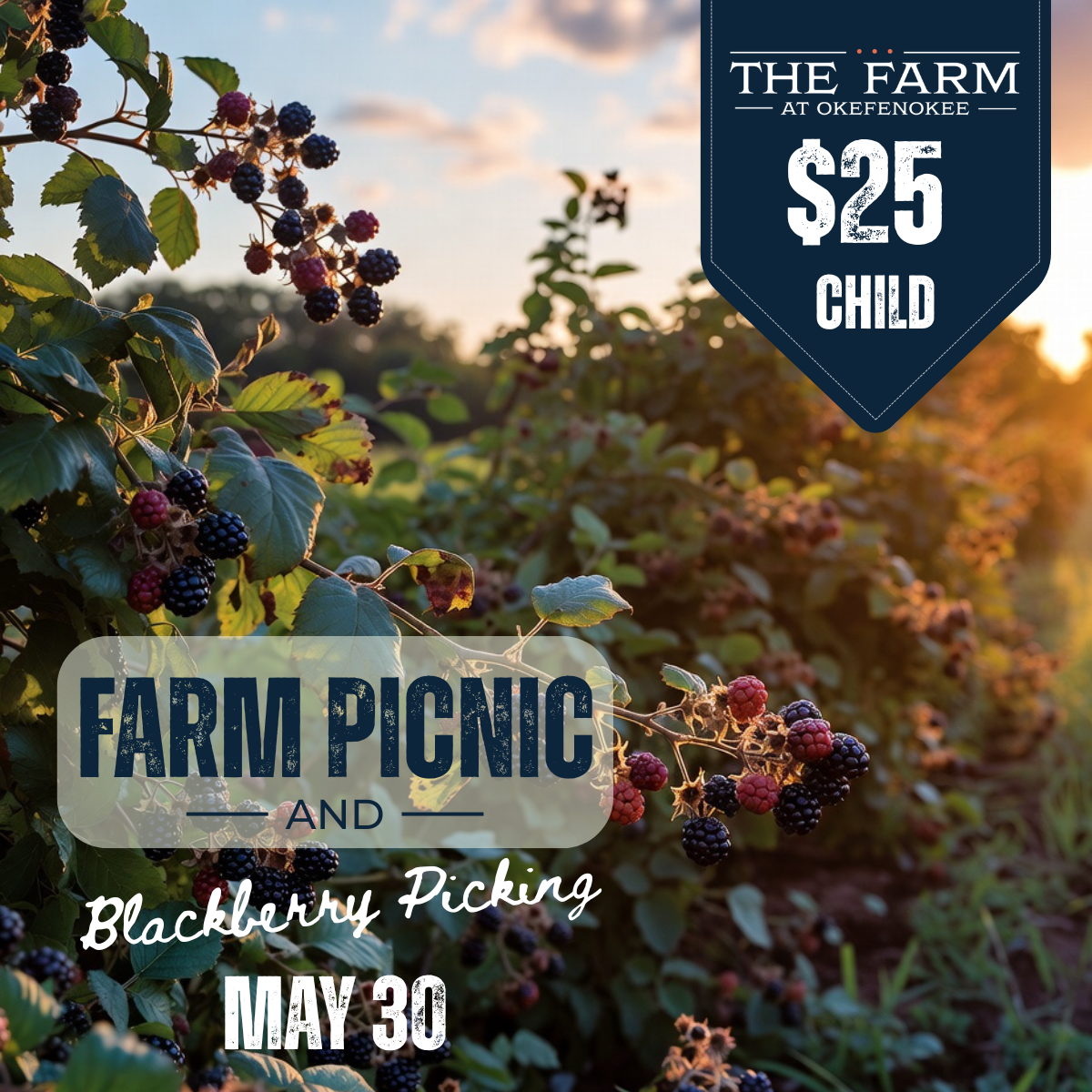 Farm Picnic & Blackberry Picking MAY 30, 2026 CHILD (15 and Under)