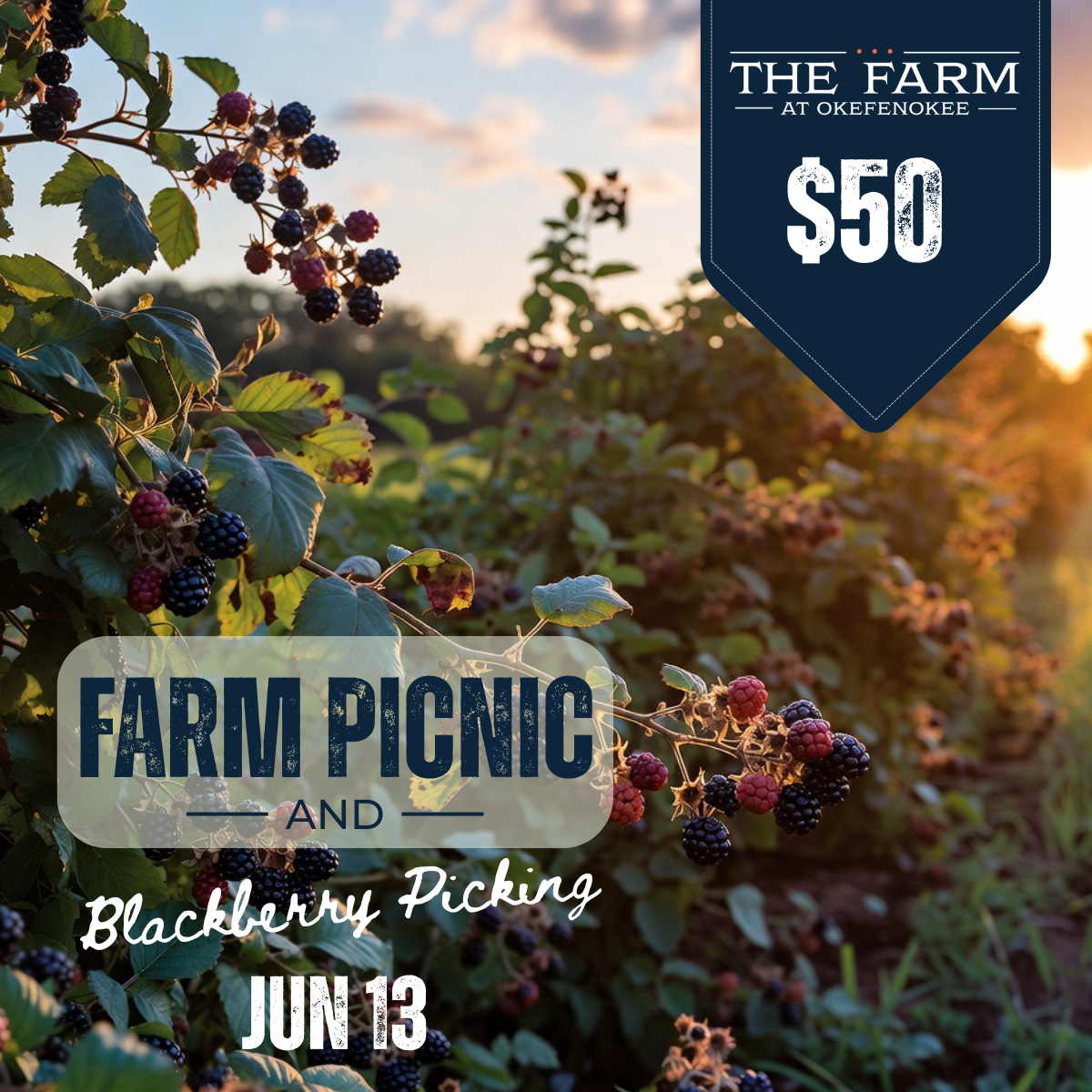 Farm Picnic & Blackberry Picking JUNE 13, 2026