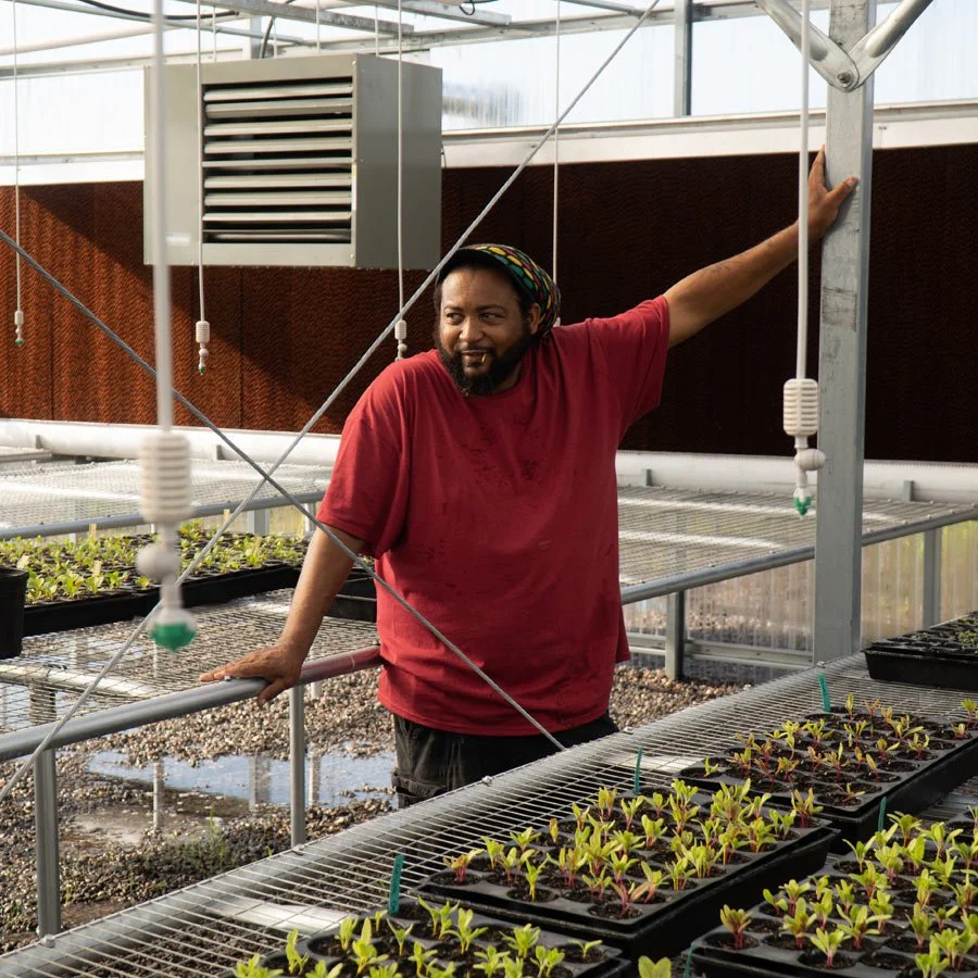 A man with a beard and colorful headband in a greenhouse, standing next to trays of leafy seedlings, leaning on a metal railing, with hydroponic equipment and an HVAC system overhead.