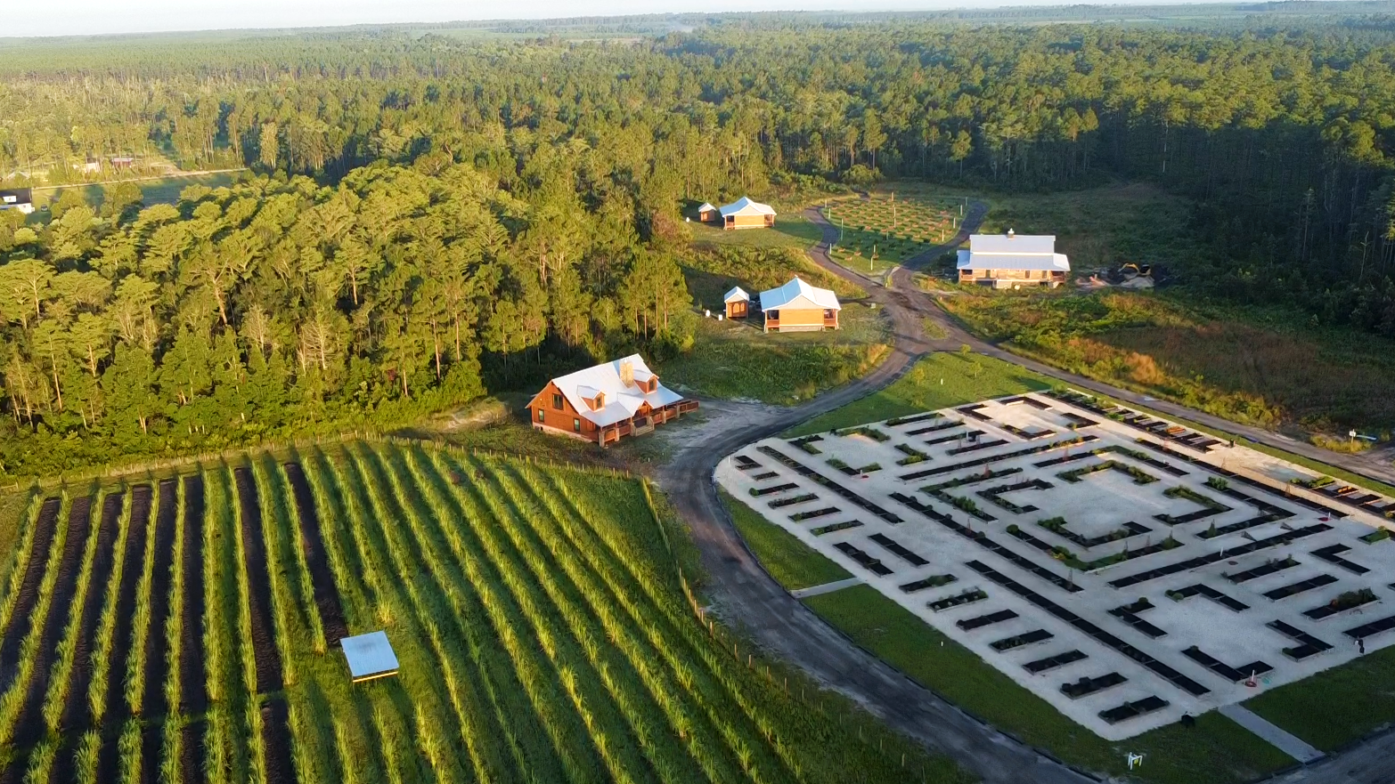 Aerial view of a rural area with multiple small houses, a large parking lot, a garden, a field of crops, and a forest in the background.