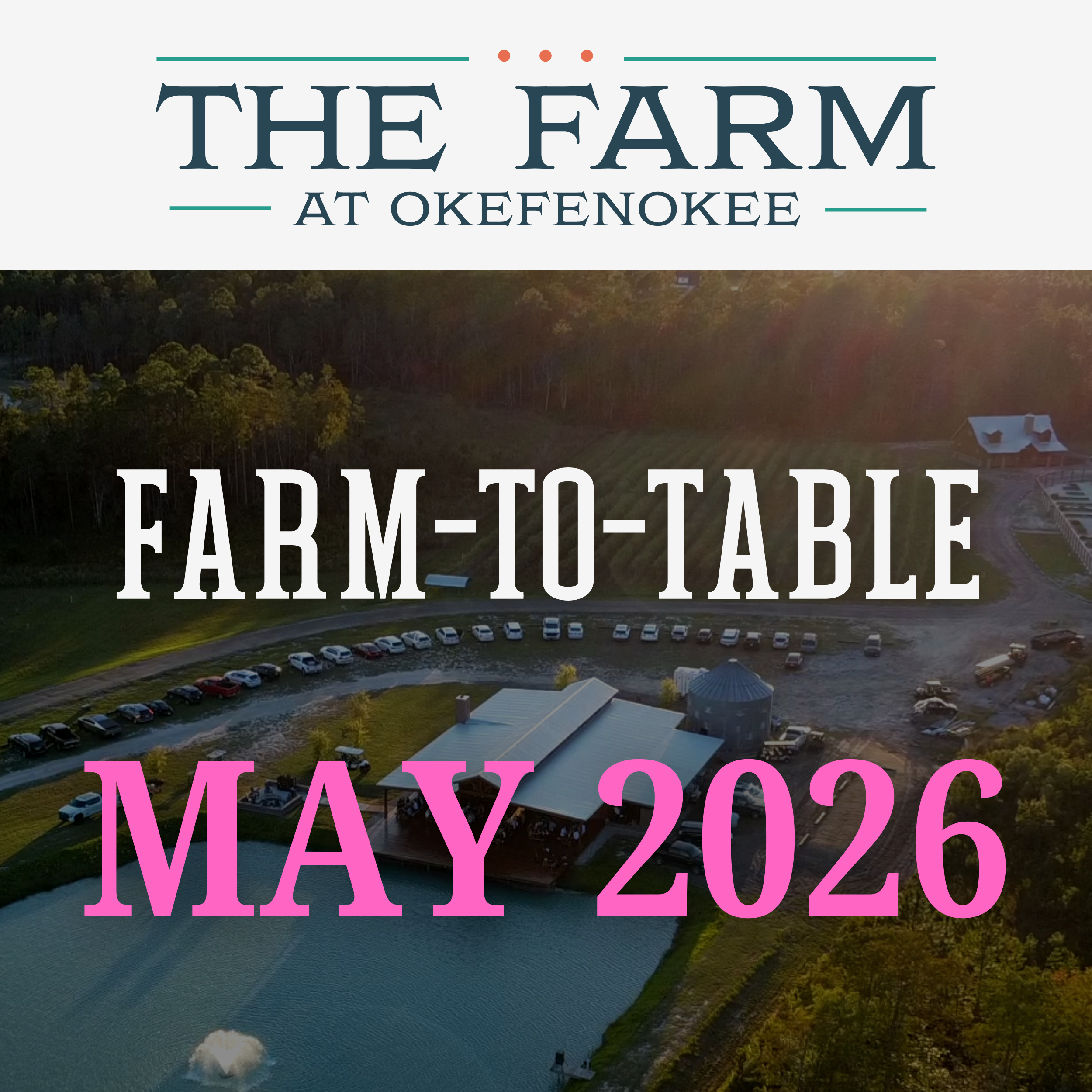 F-t-T thumbnail (3).png