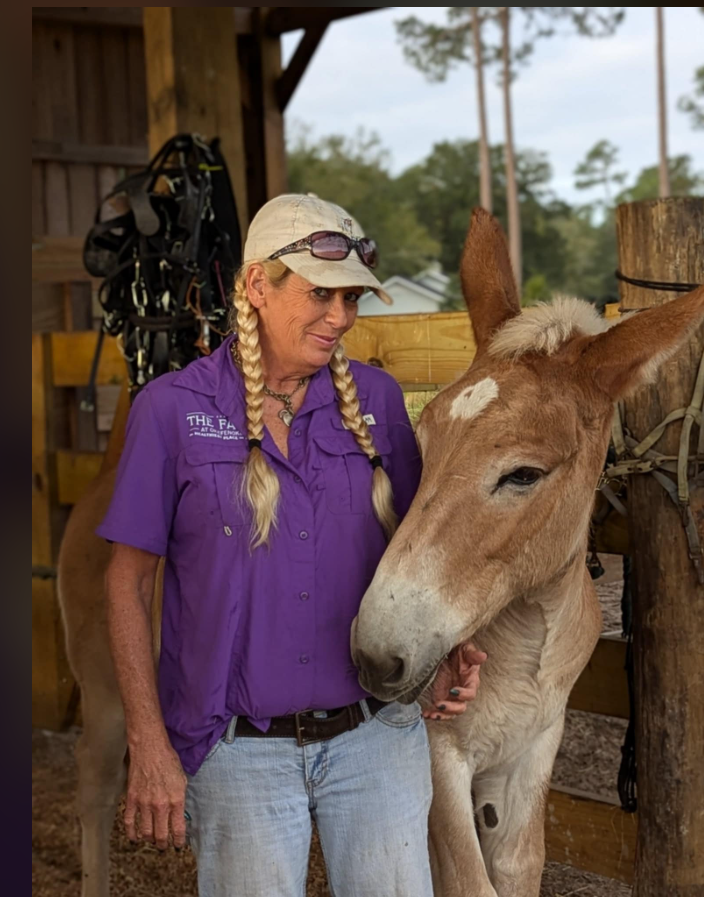 A woman in a purple shirt, beige cap, and sunglasses on her head stands next to a young light brown horse with a white star on its forehead, inside a wooden stable. The woman is smiling and the horse appears calm.