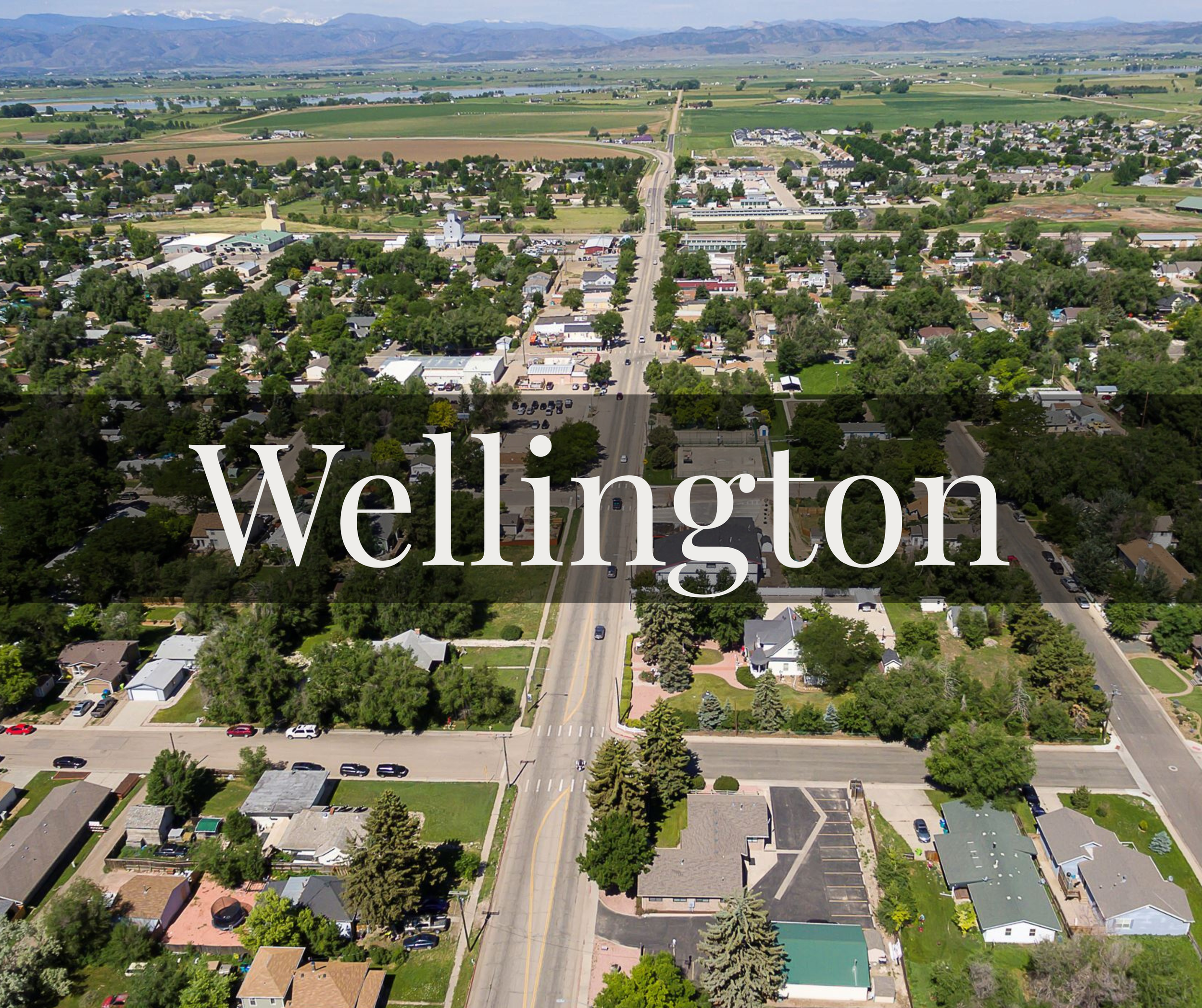 Wellington Real Estate &amp; Homes for Sale