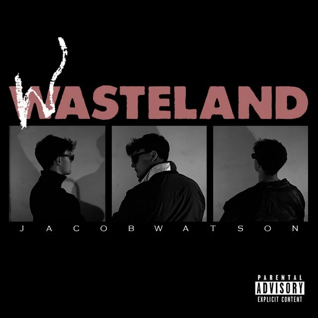 WASTELAND - Brent Faiyaz (2022)
