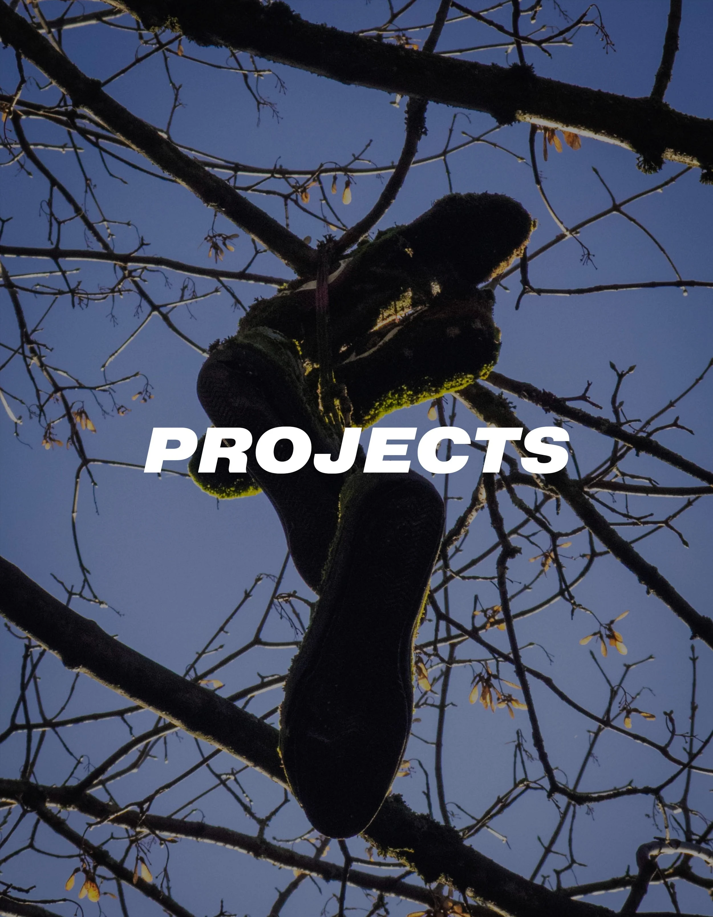 A person pruning tree branches with gloves, photo taken from below against a clear blue sky, with the word 'PROJECTS' in bold white letters across the center.