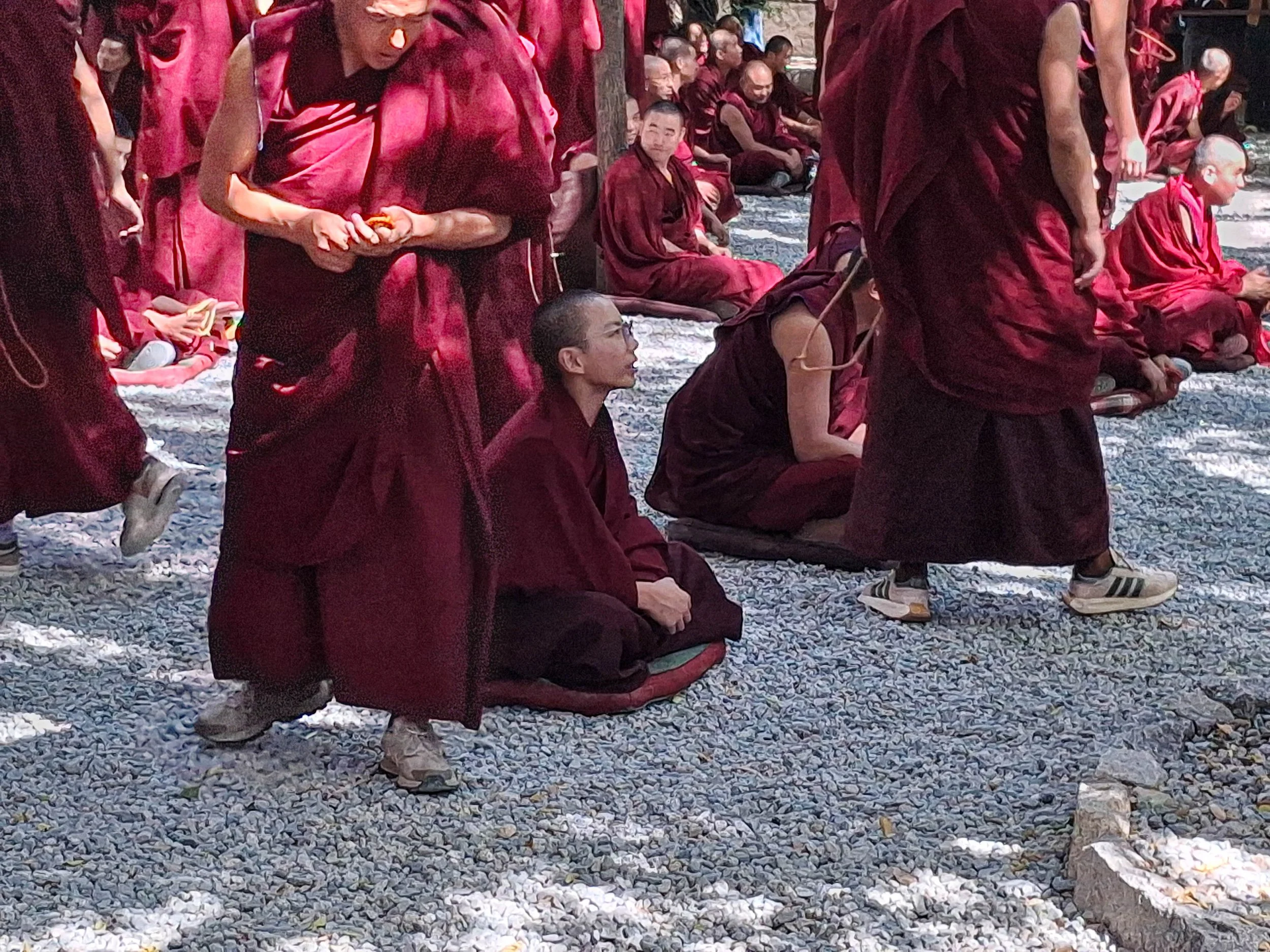 Sera Monastery debating monks (1 of 1).jpg