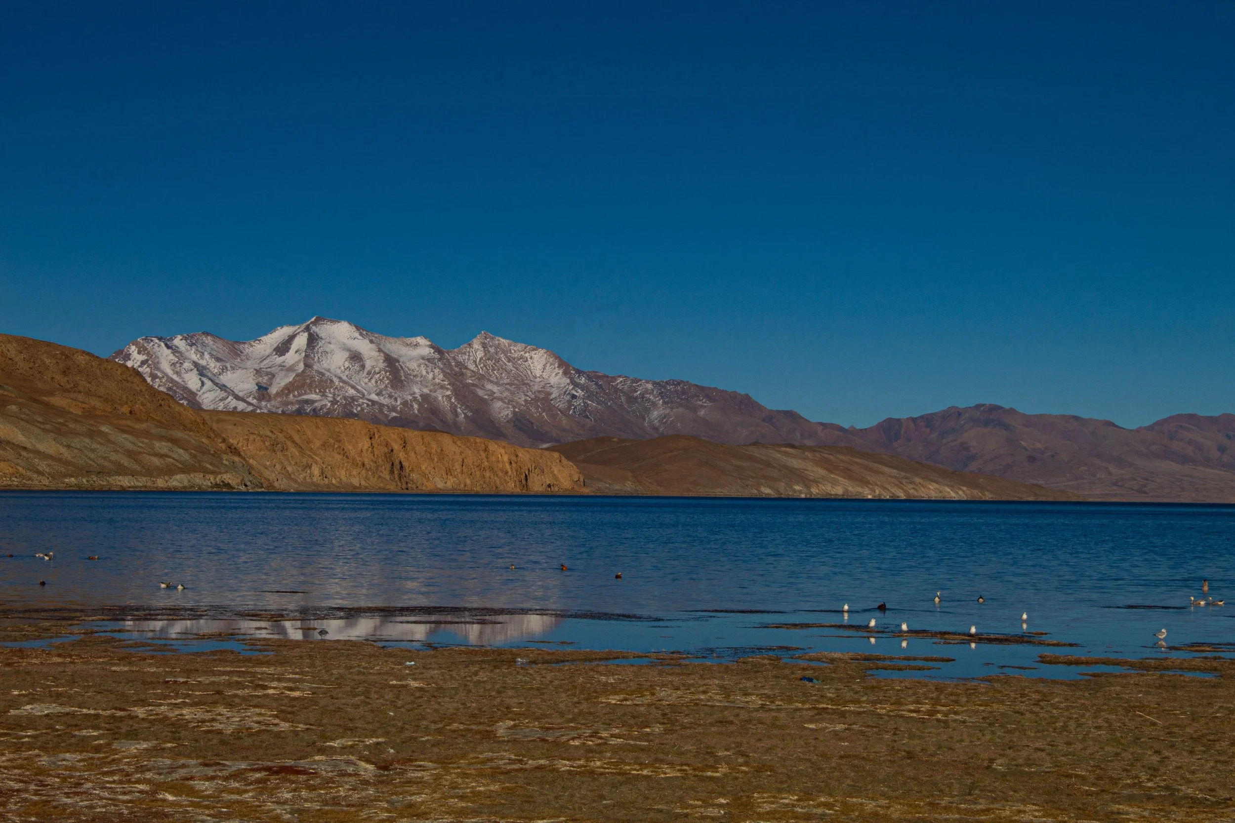 Manasarovar with mountains (1 of 1).jpg
