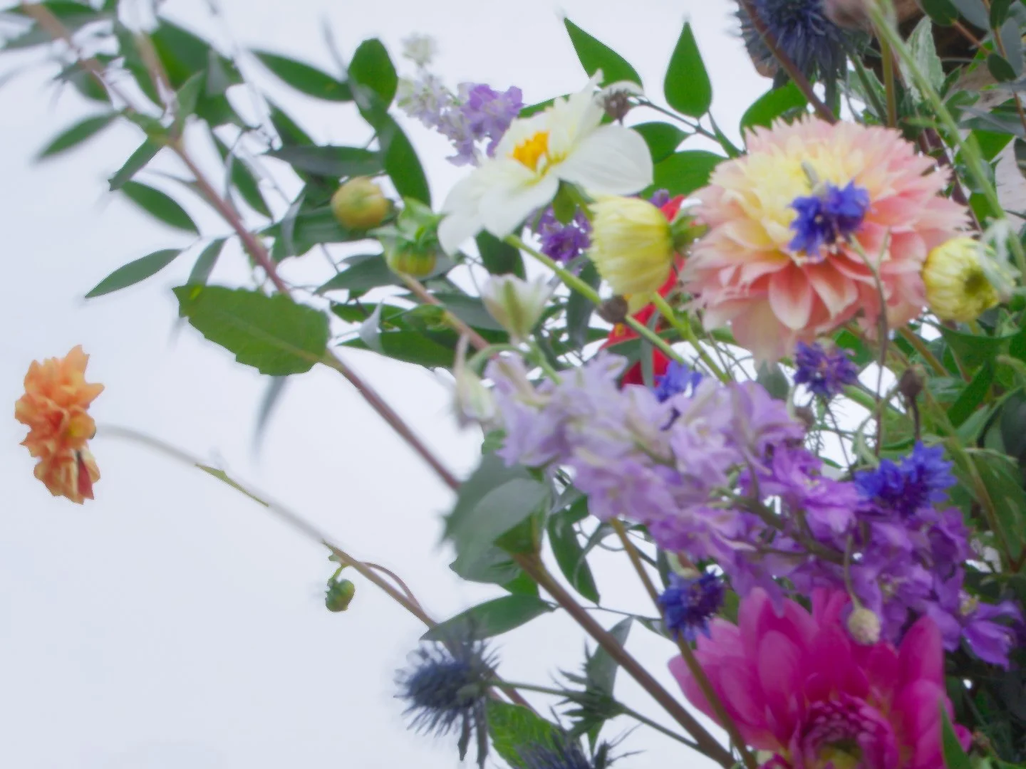 How Long Should a Wedding Film Be? 