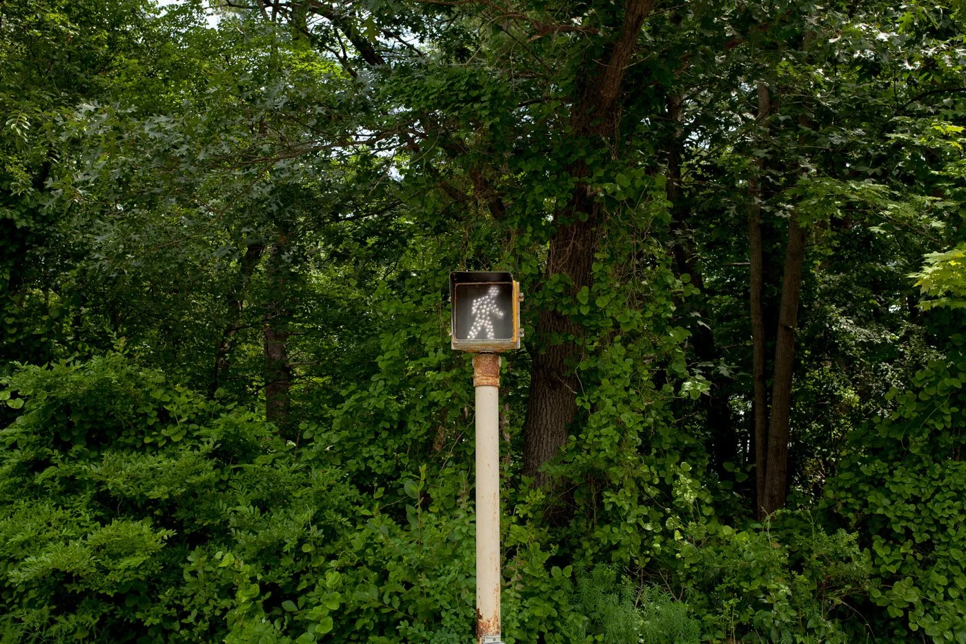 The Calculus of Risk