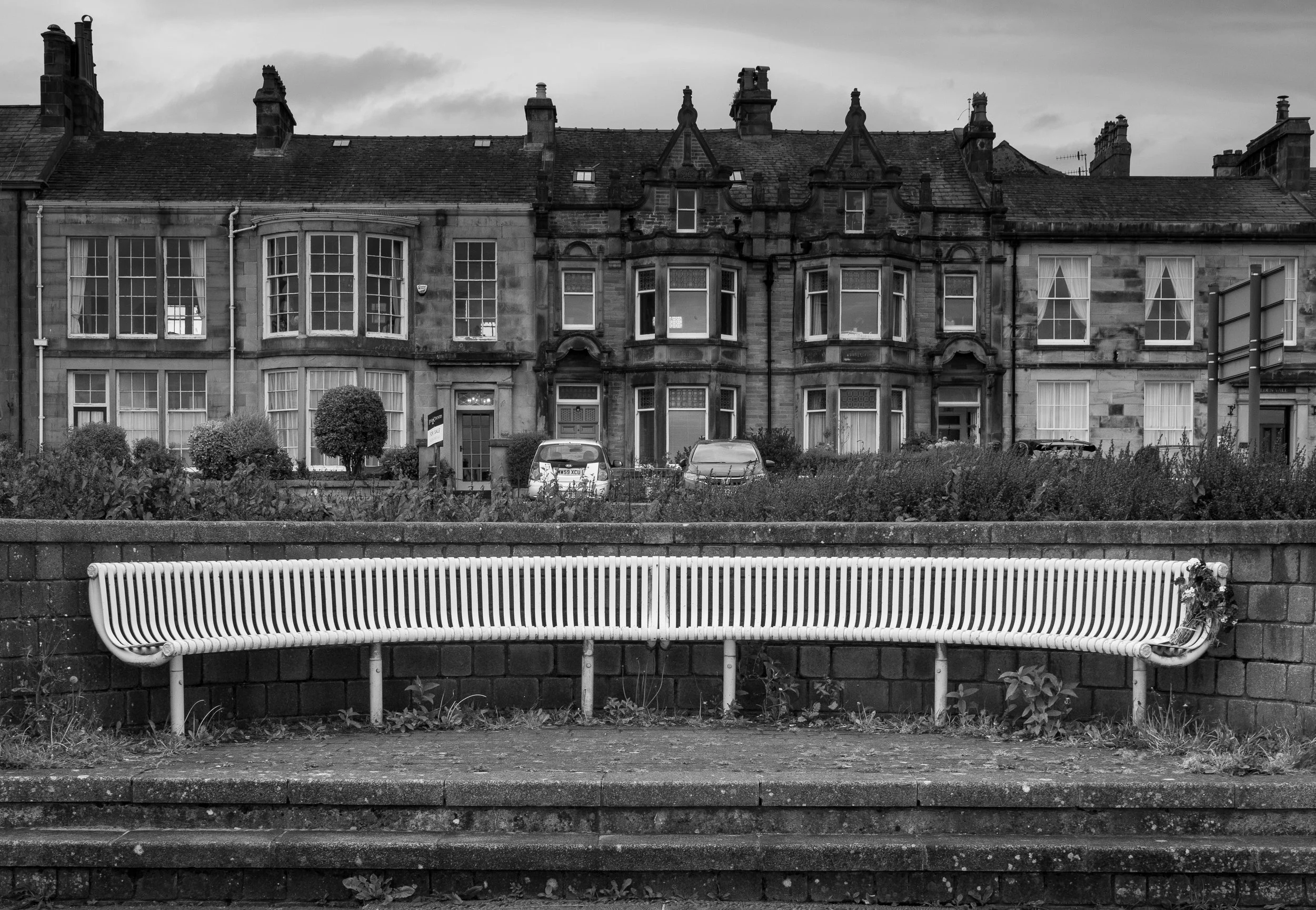 L1003146.jpg