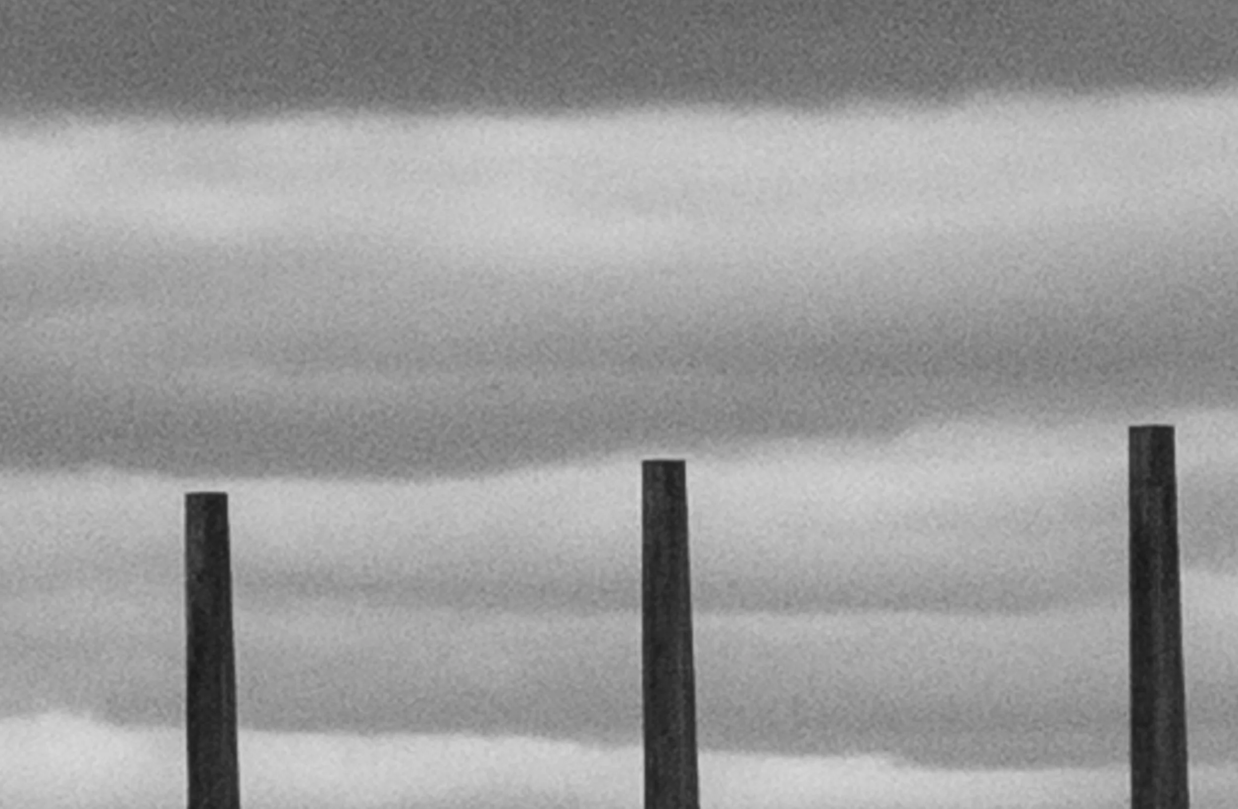 L1004136.jpg