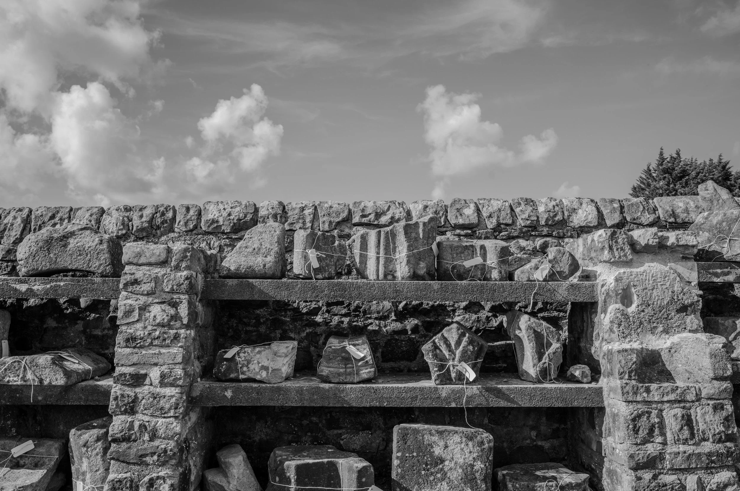 L1004165.jpg