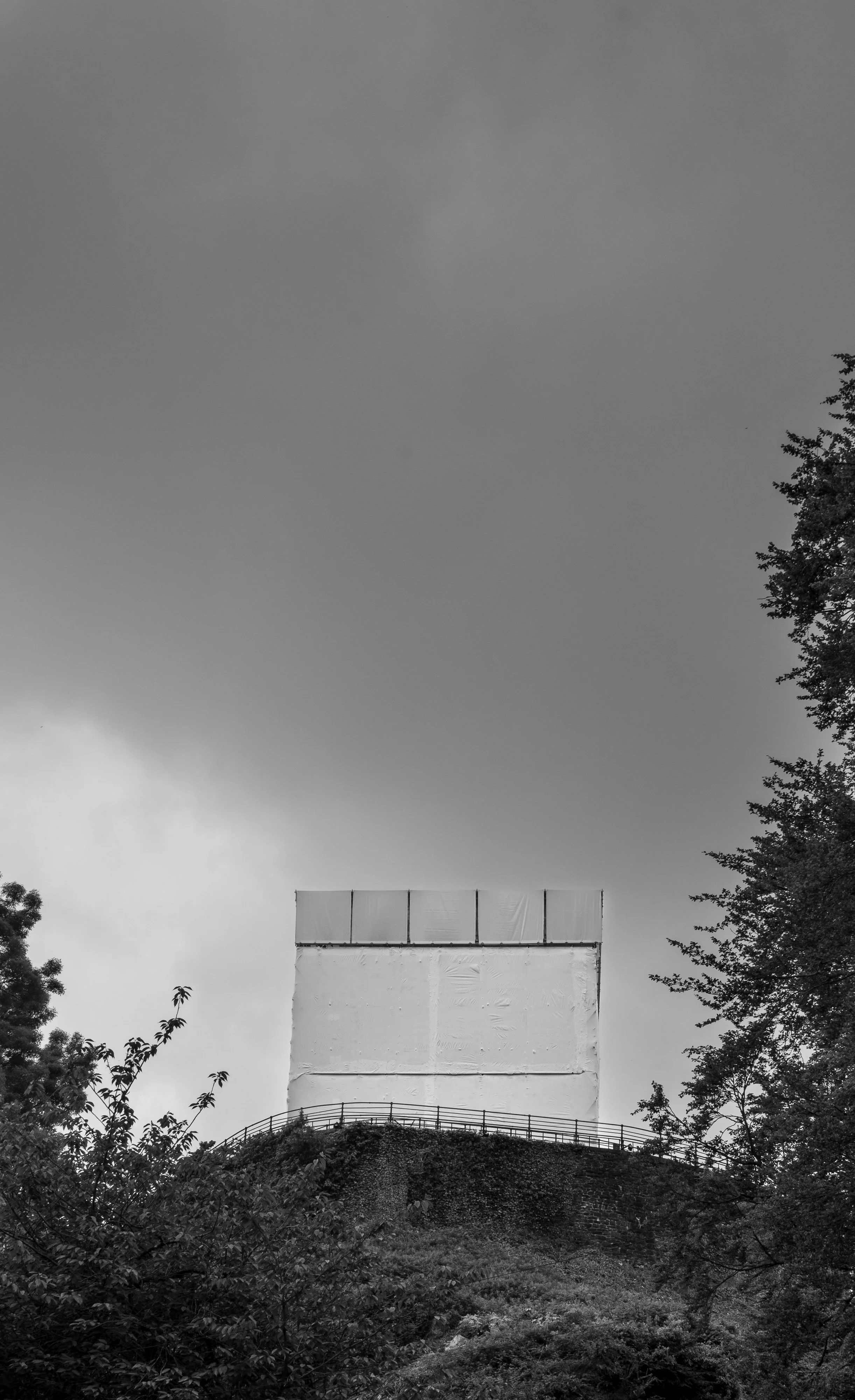 L1003169.jpg