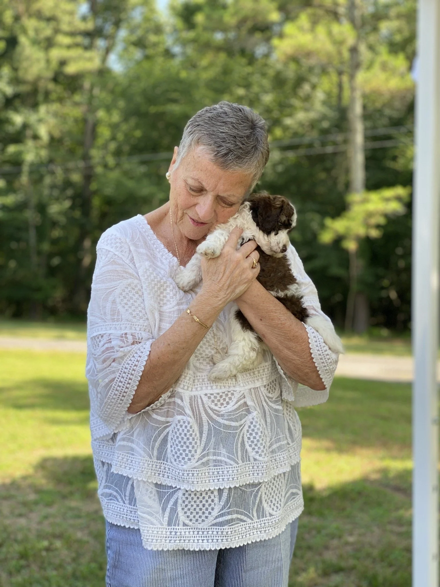 Bringing Home a Doodle Puppy in Alabama: What to Expect Before Pickup Day