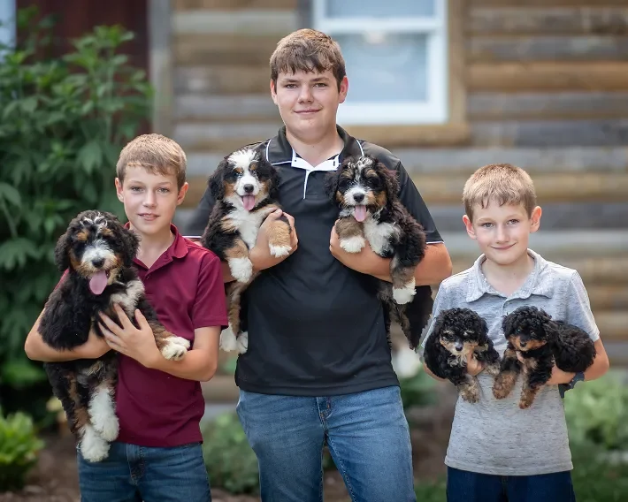 🐾 Why Mini Bernedoodles Are the Perfect Family Dog in Alabama, Atlanta &amp; Nashville