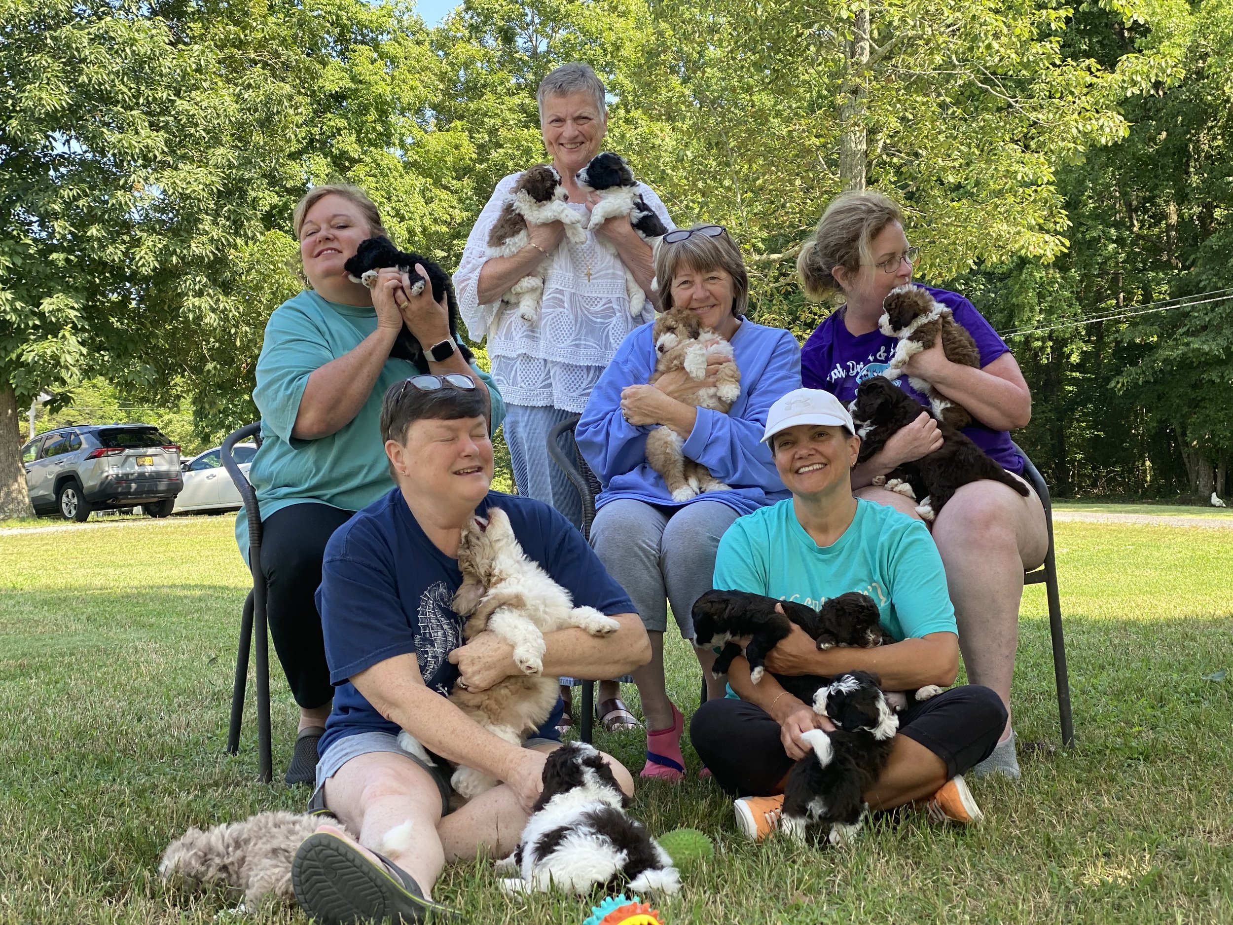 7 Questions Every Family Should Ask Before Buying a Puppy Online