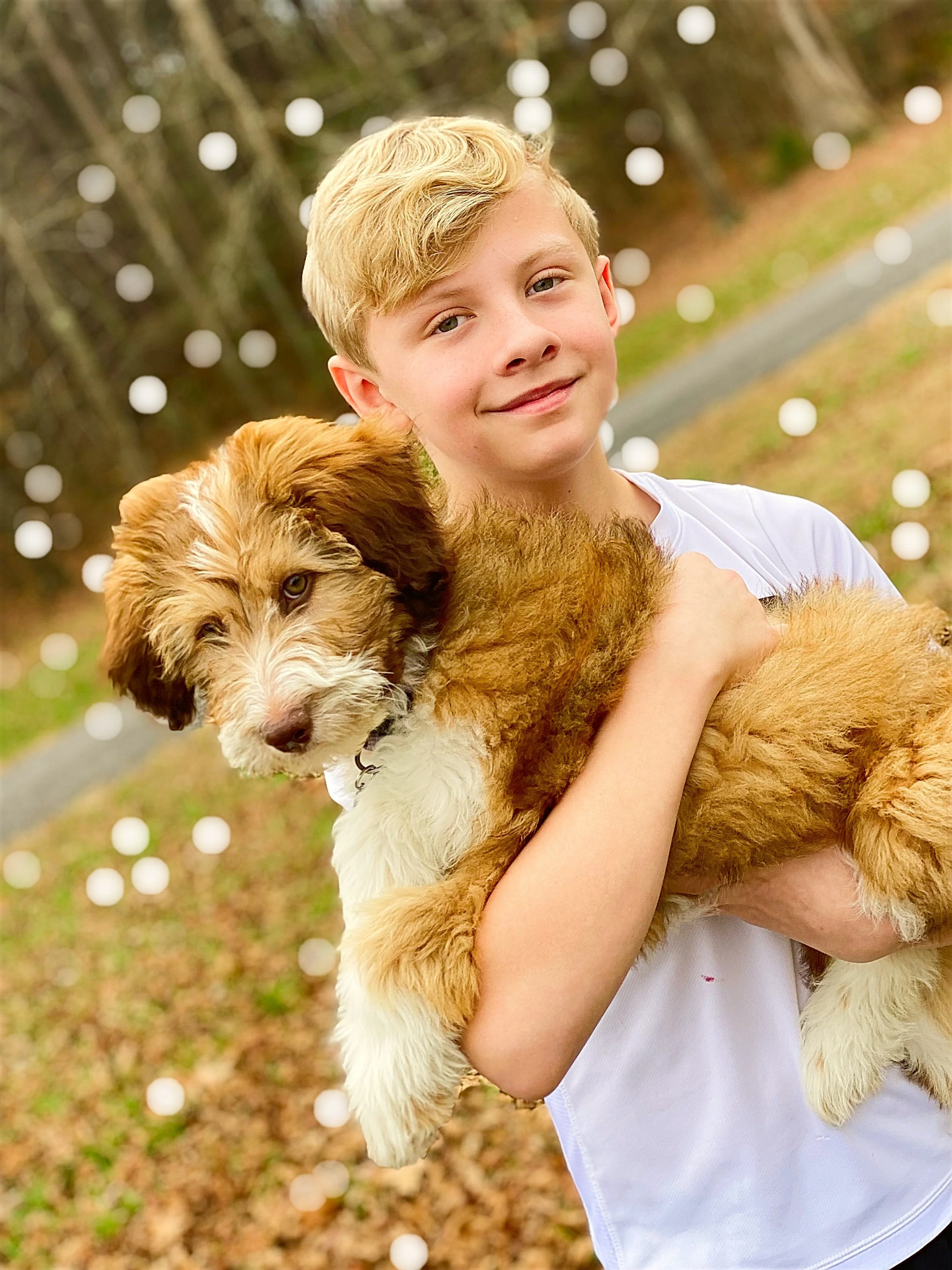 Why Choosing a Home-Raised Doodle Breeder in Alabama Matters