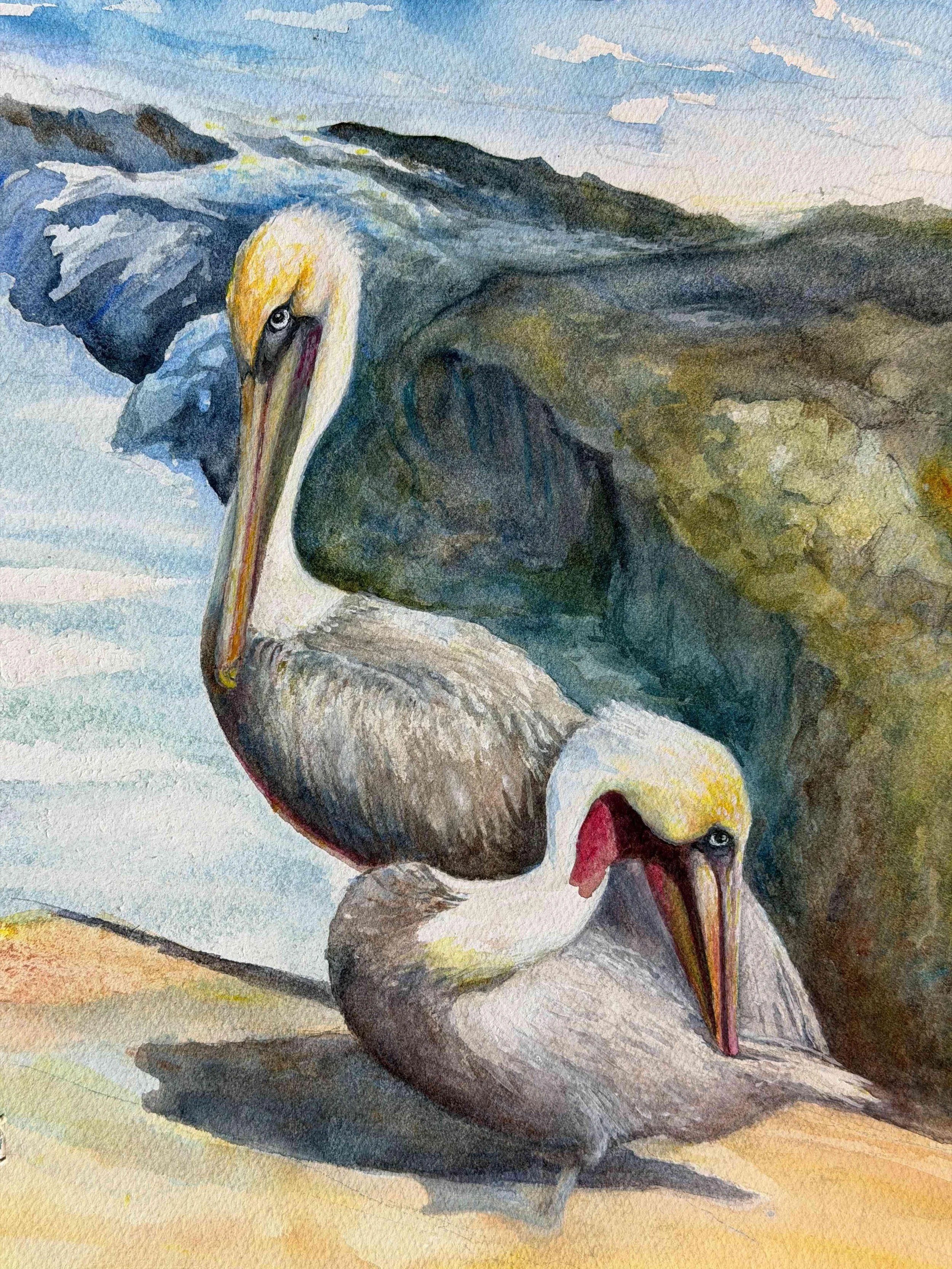 La Jolla Pelicans by Johanna Annable. Watercolor. NFS. 