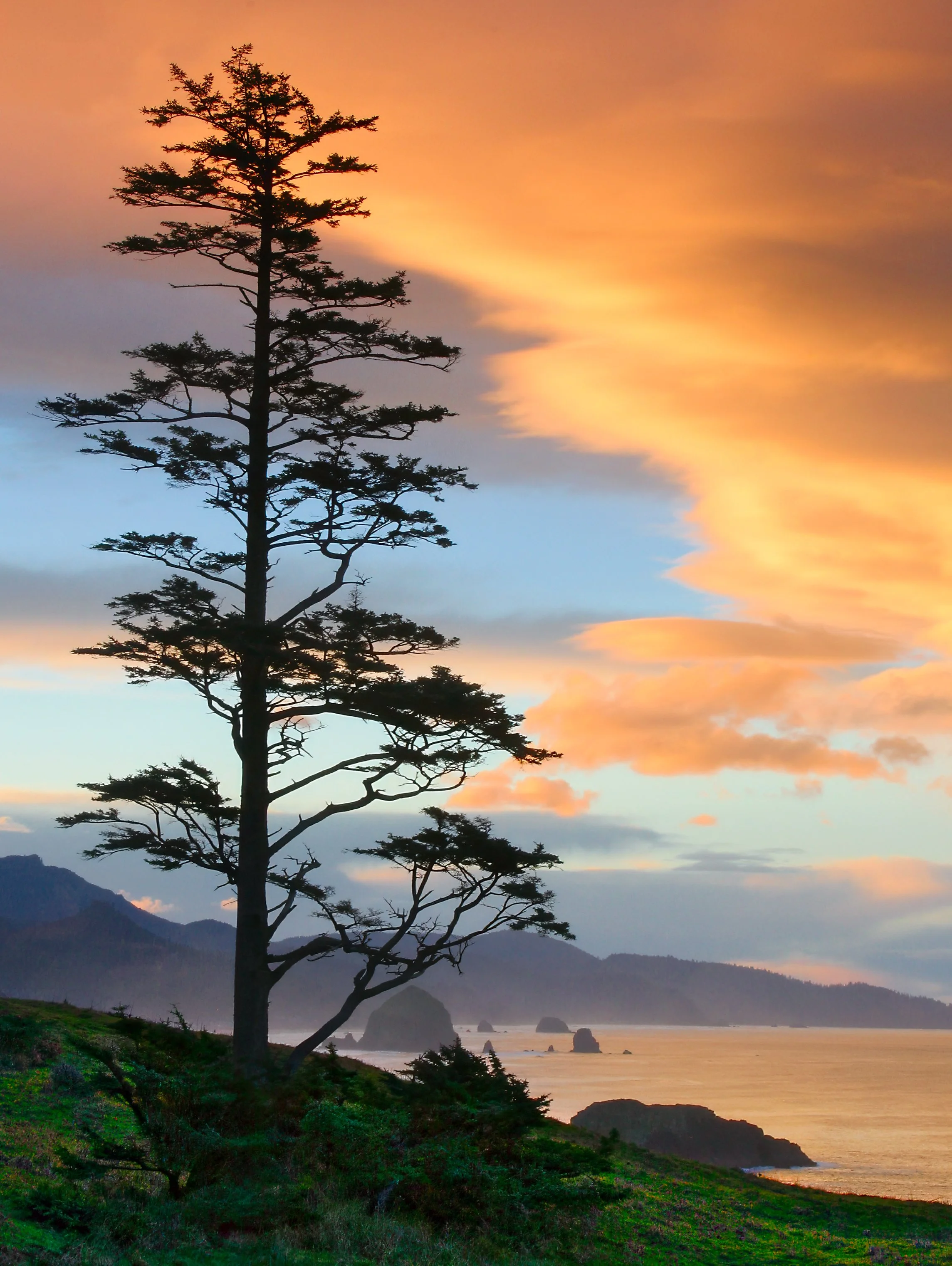 Ecola Park, Dawn - Daniel Rappaport.jpg