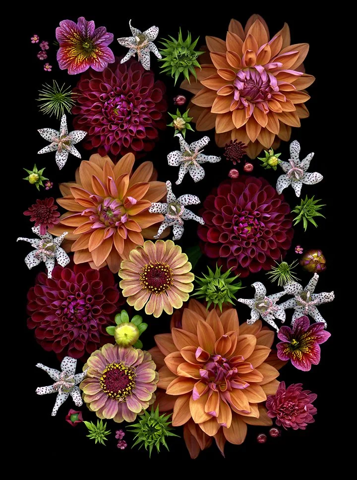 Cravens_Flower Composition 42 - Fretta Cravens.jpg