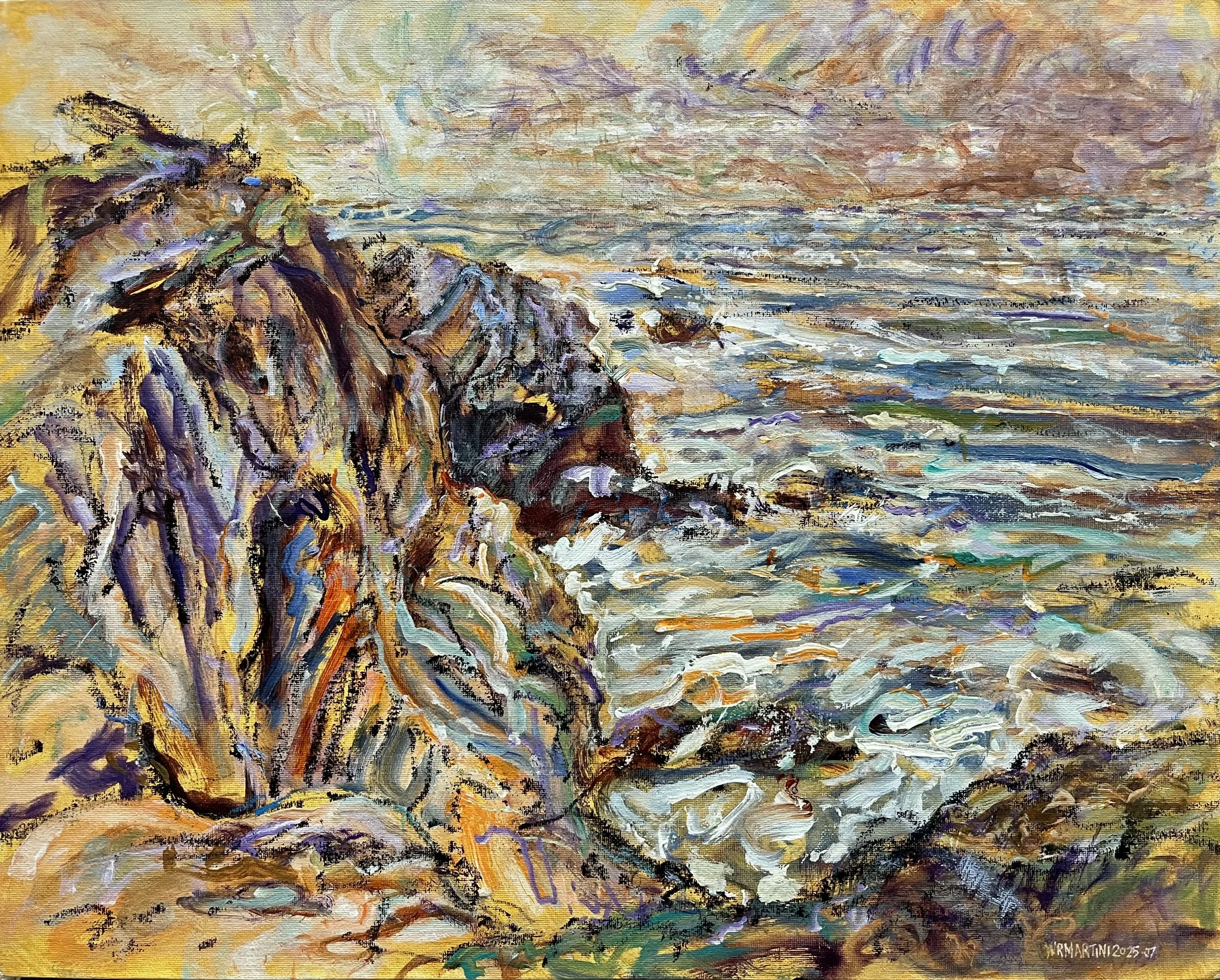 AA_William Martini_CapeAragoCliffs#3-jul2025-598.JPG