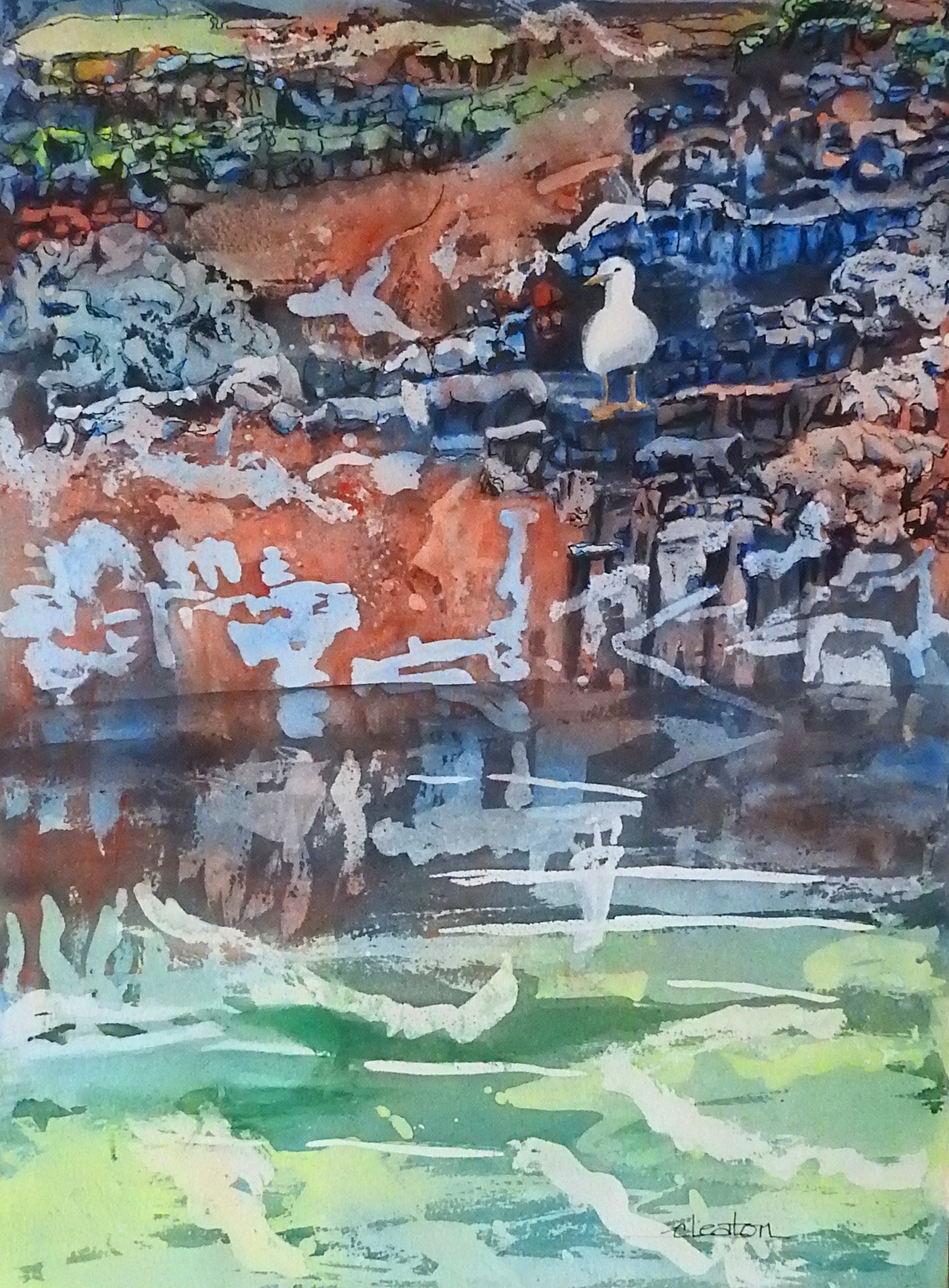 AA_Connie Cleaton_0 gull.jpg