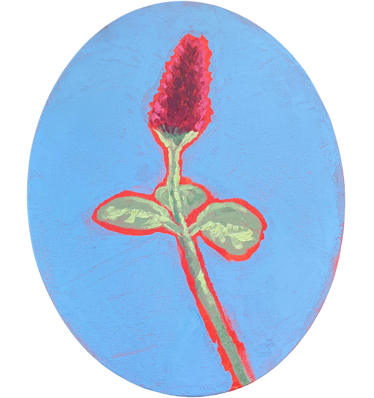 0062-10437_7812.png