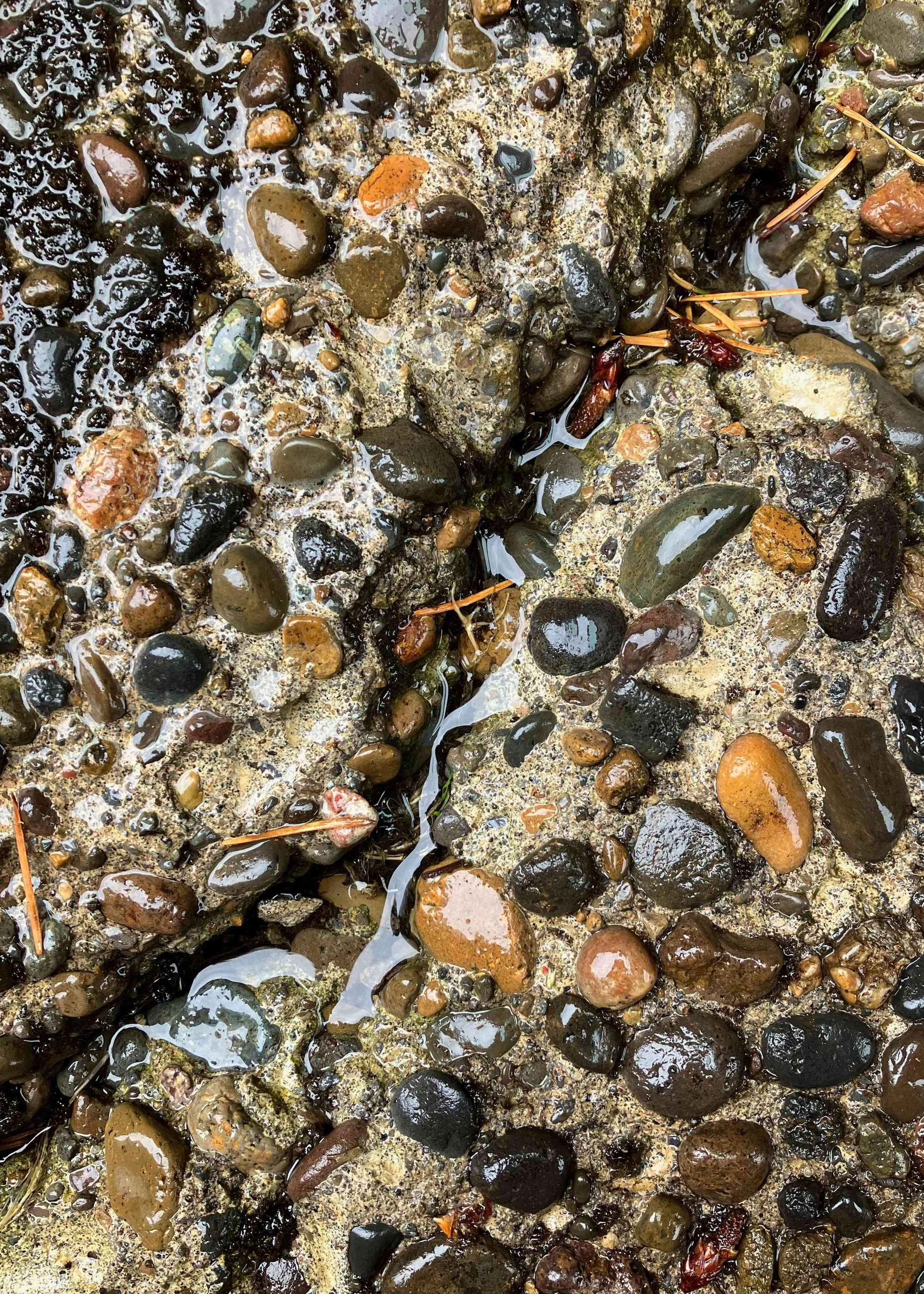 Buried Treasure by Gary Tharler. Photography. $325.00.