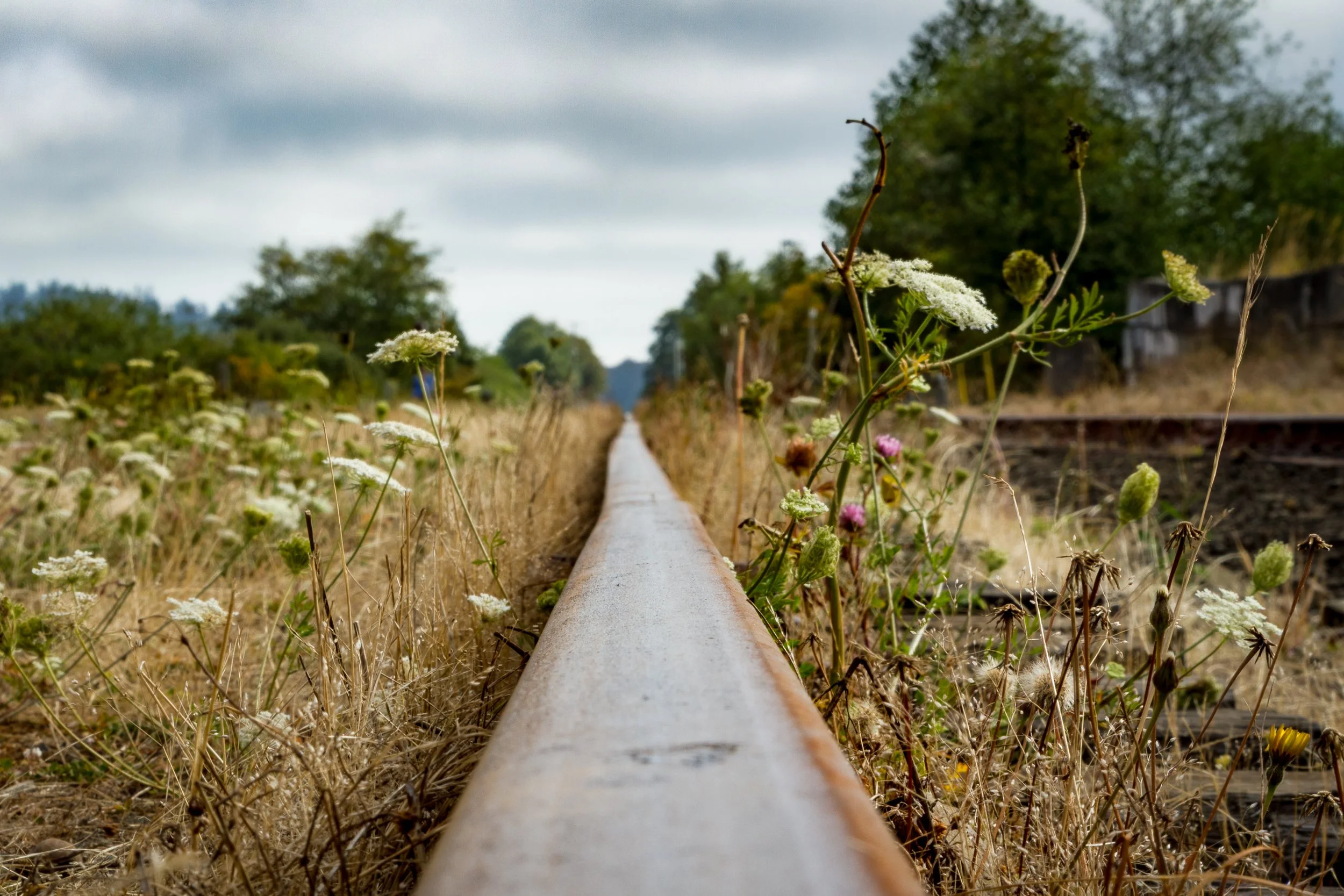 Toward the Future by Mark Fitzgerald. Archival Inkjet Print. $150. 