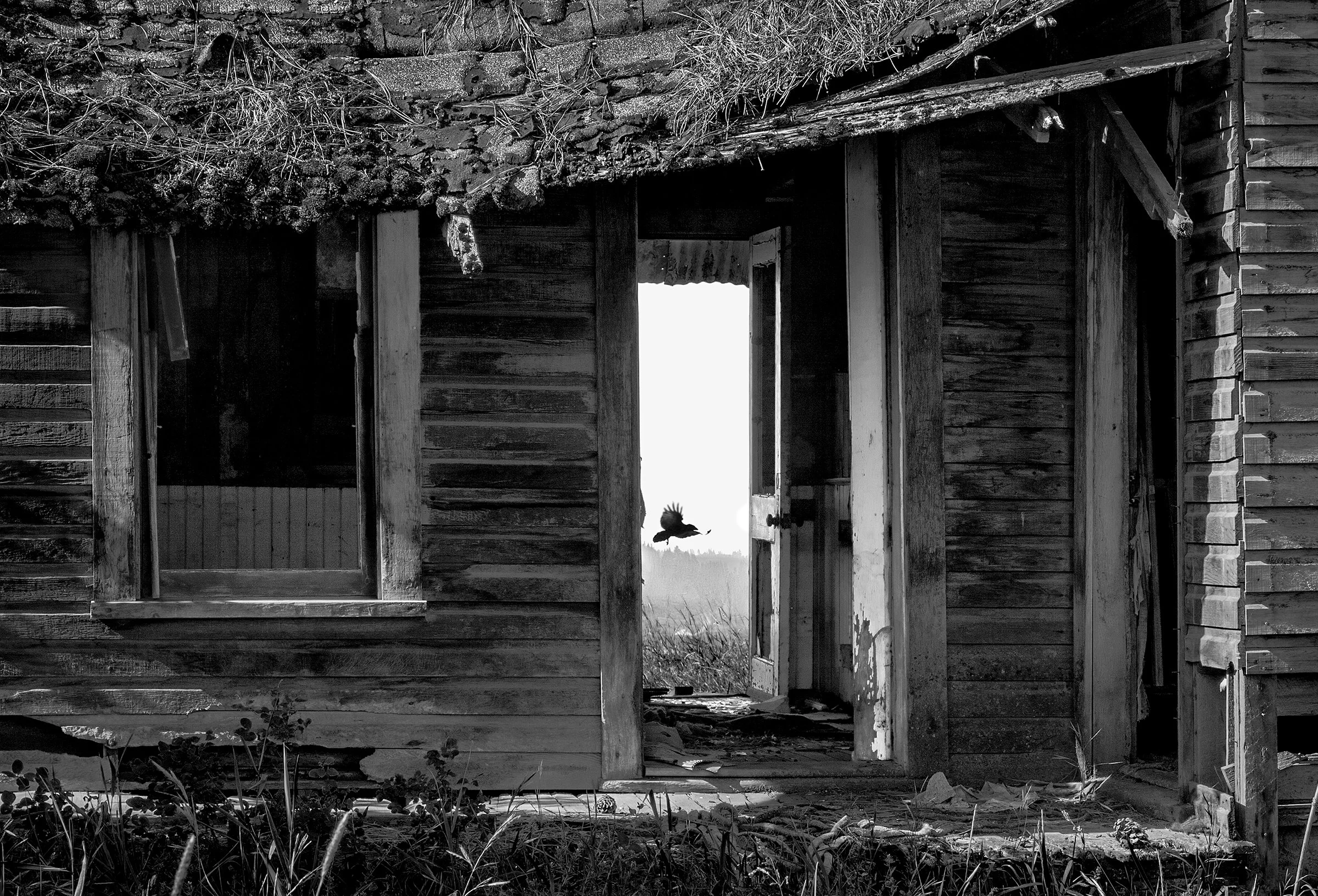 Home Sweet Home (circa 2026) by Jim Congleton. Archival Inkjet. $400. 