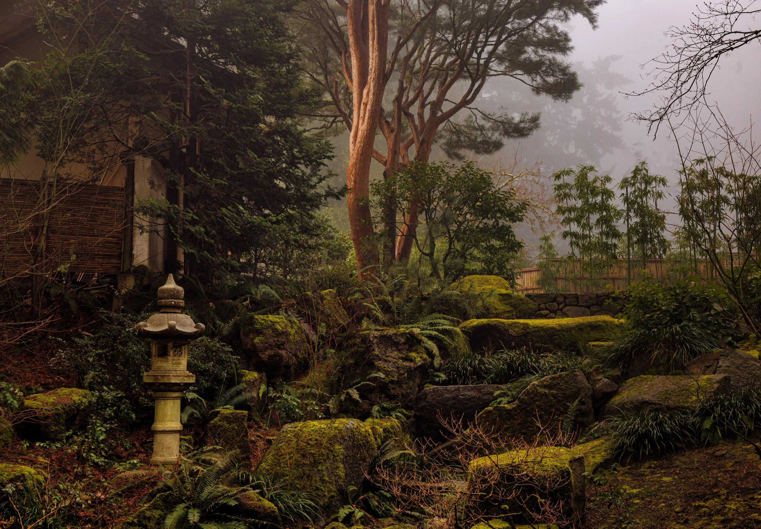 A misty Japanese garden with moss-covered rocks, lush green plants, and a traditional stone lantern amidst trees and shrubs.