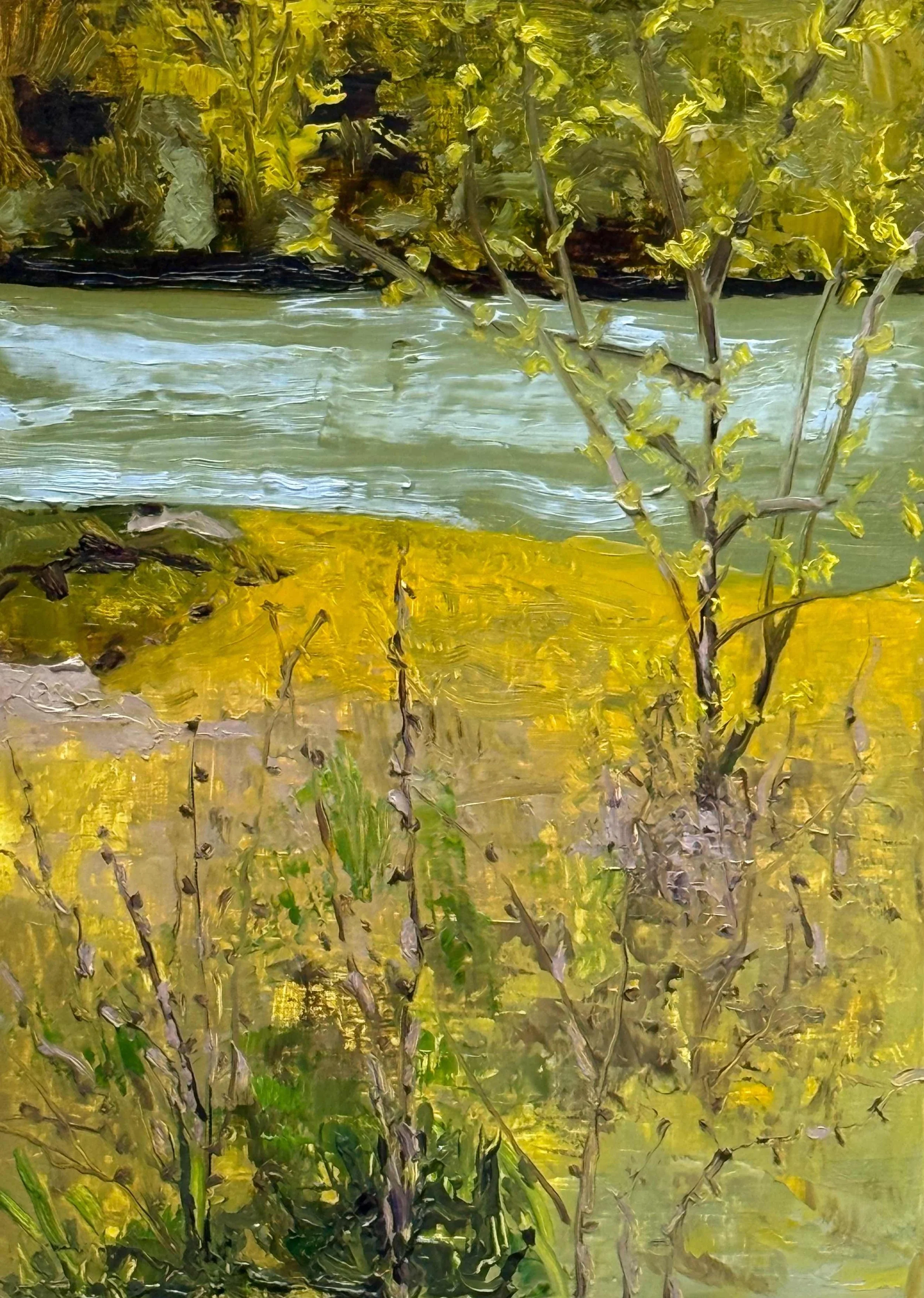 Leslie Cook. Eye Level. Oil. NFS. 