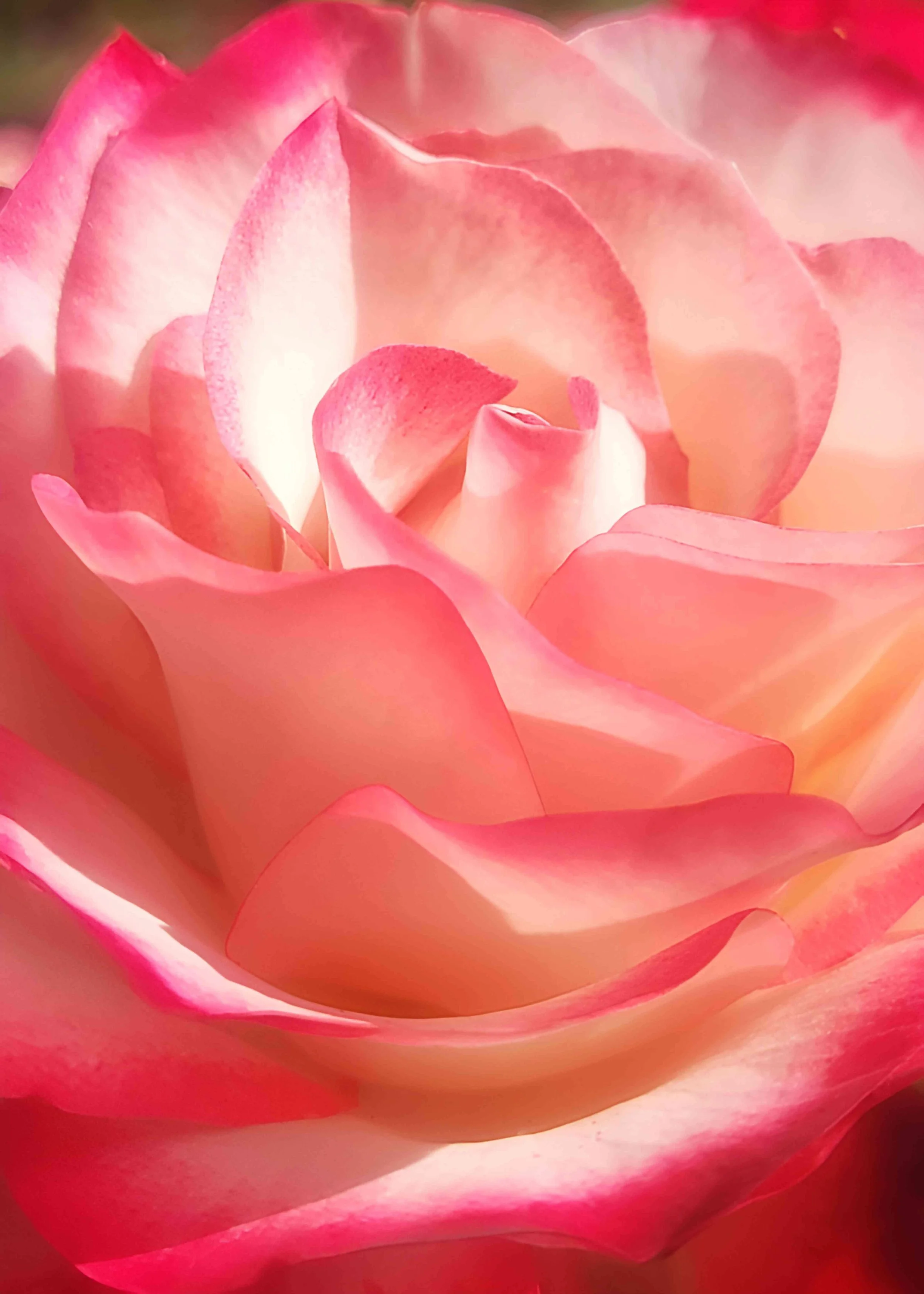 Gradients by Anna Sundin. Photography. $150. 