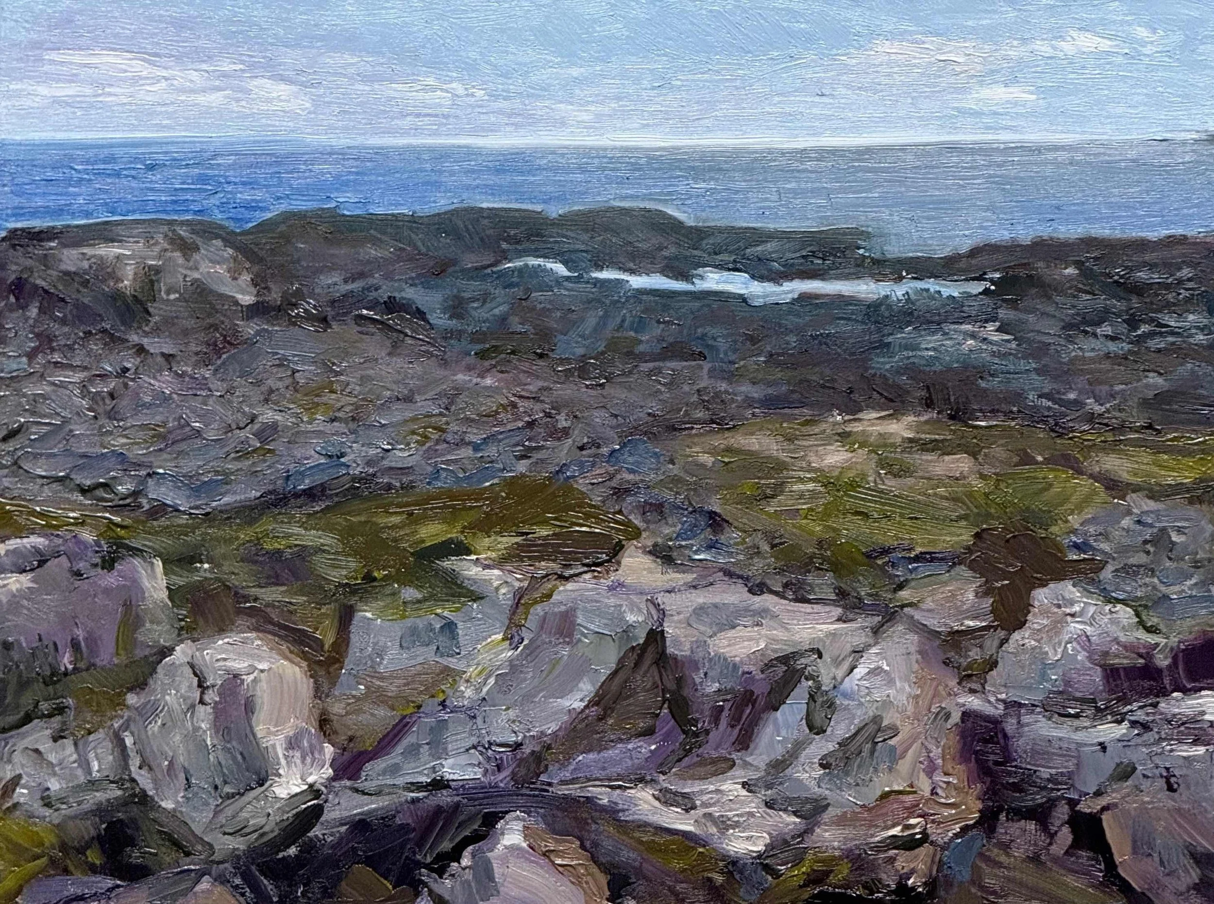 Leslie Cook. The Common. Oil. NFS.